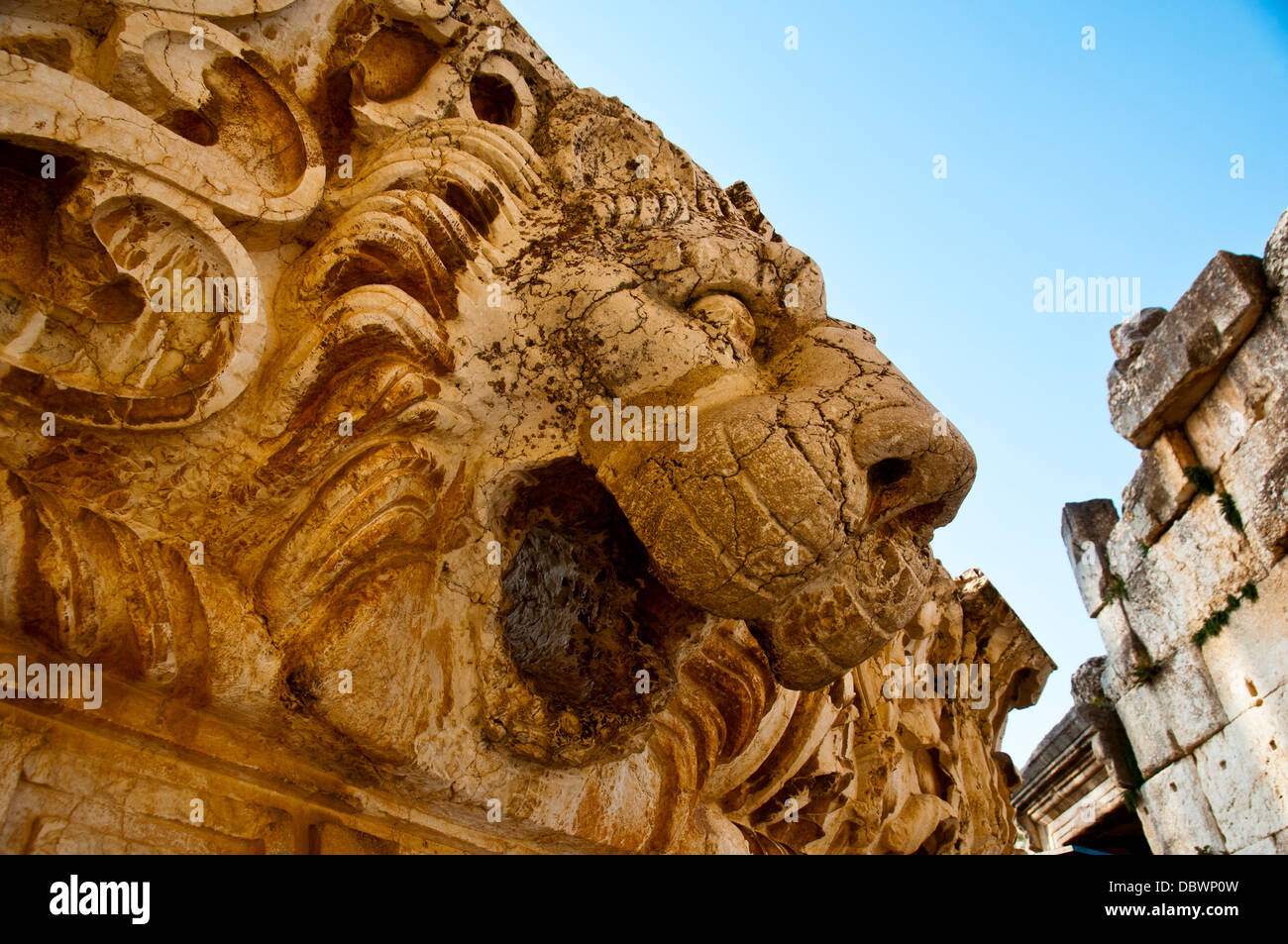 Testa di Lione statua . Sito archeologico di Baalbek,UNESCO - Sito Patrimonio dell'umanità. Bekaa valley. Il Libano. Foto Stock