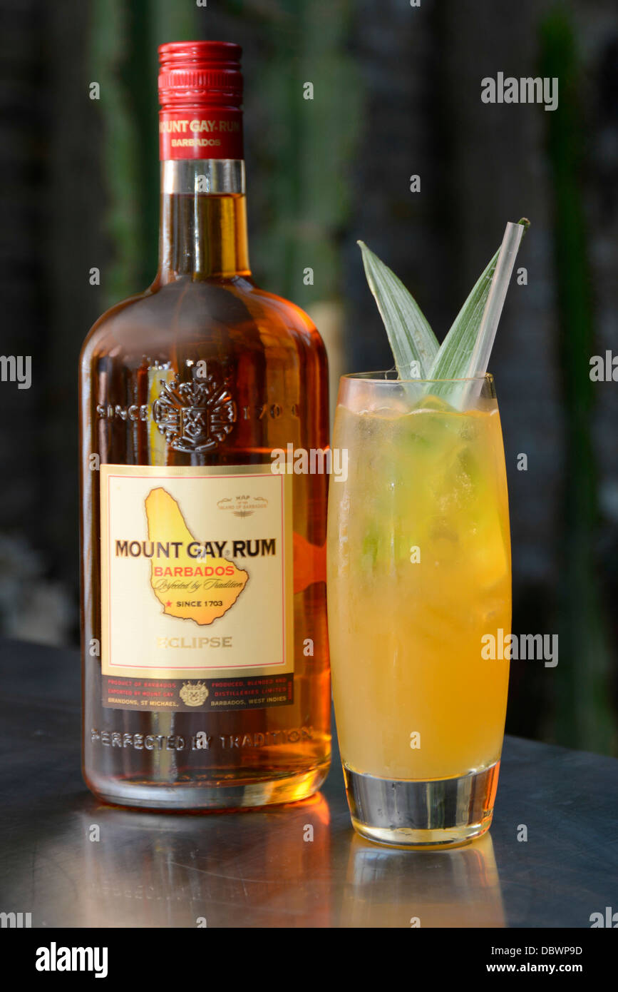 Il Mount Gay rum estate cocktail e una bottiglia Foto Stock
