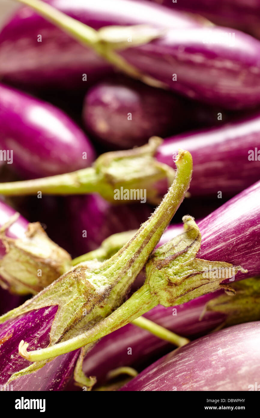 Baby viola melanzane Foto Stock