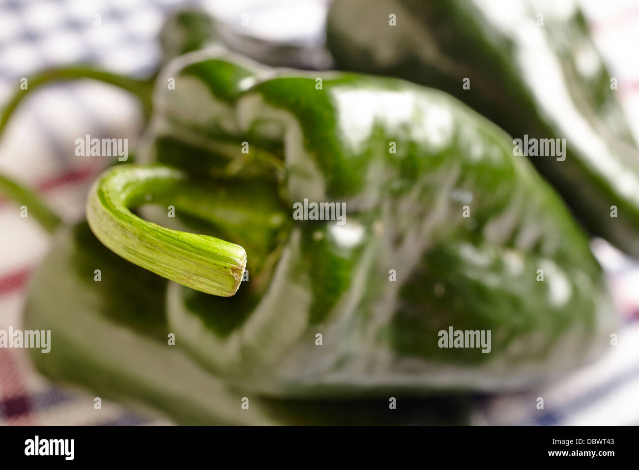 Fresche e mature peperoni poblano Foto Stock