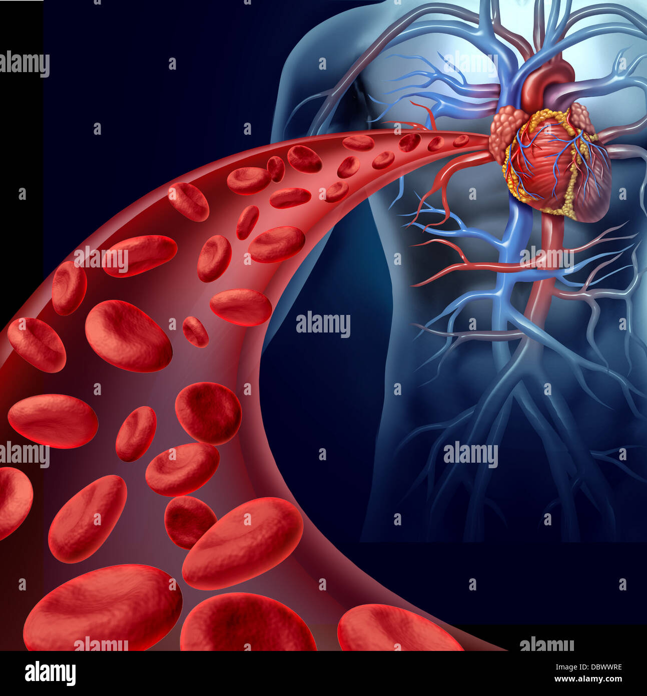 Cuore della salute di sangue con globuli rossi che fluisce attraverso tre vene dimensionale dal umano il sistema circolatorio che rappresenta un medico health care simbolo di cardiologia e fitness cardiovascolare. Foto Stock