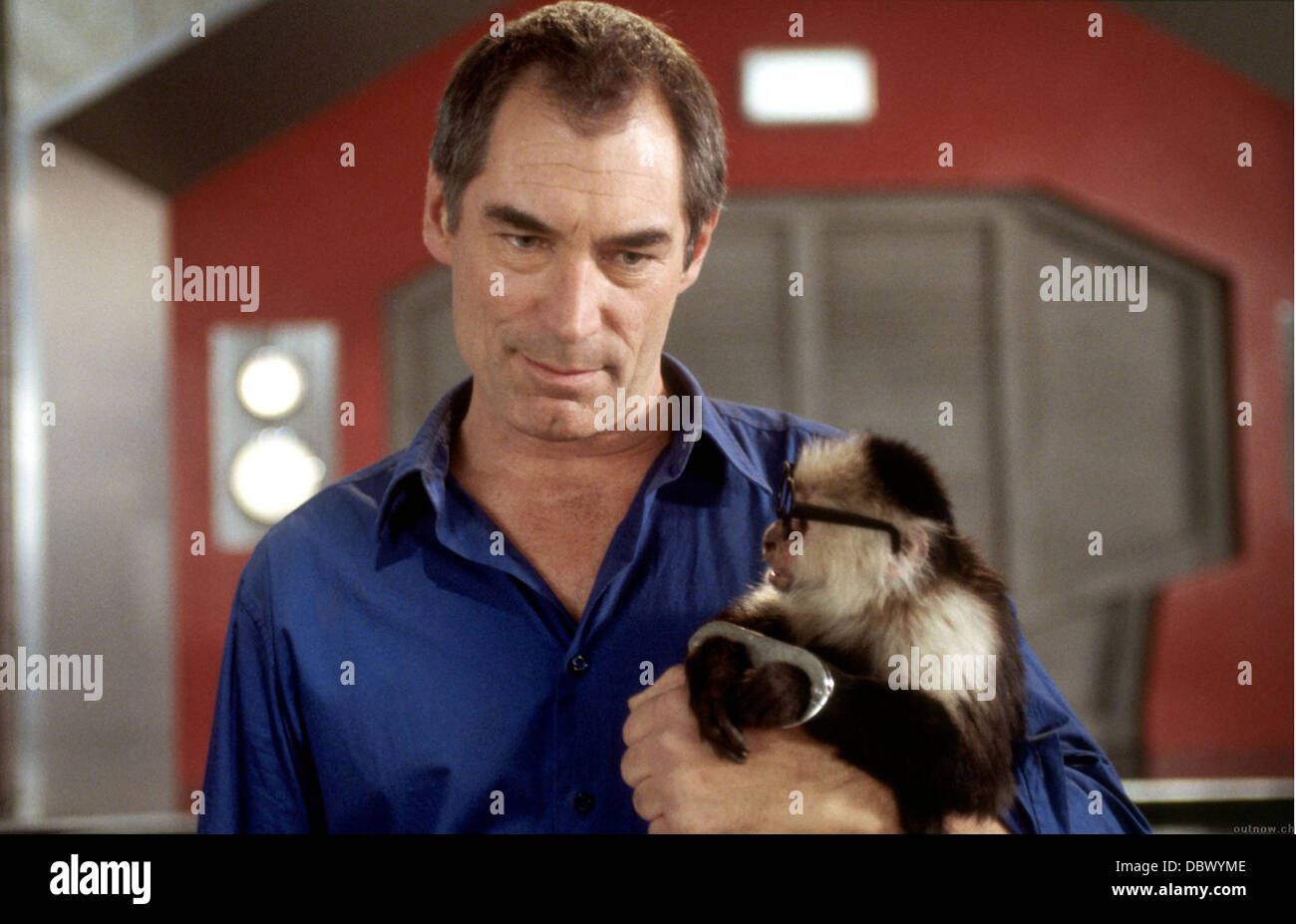 LOONEY TUNES: TORNA IN AZIONE (2003) Timothy Dalton Joe Dante (DIR) 004 COLLEZIONE MOVIESTORE LTD Foto Stock