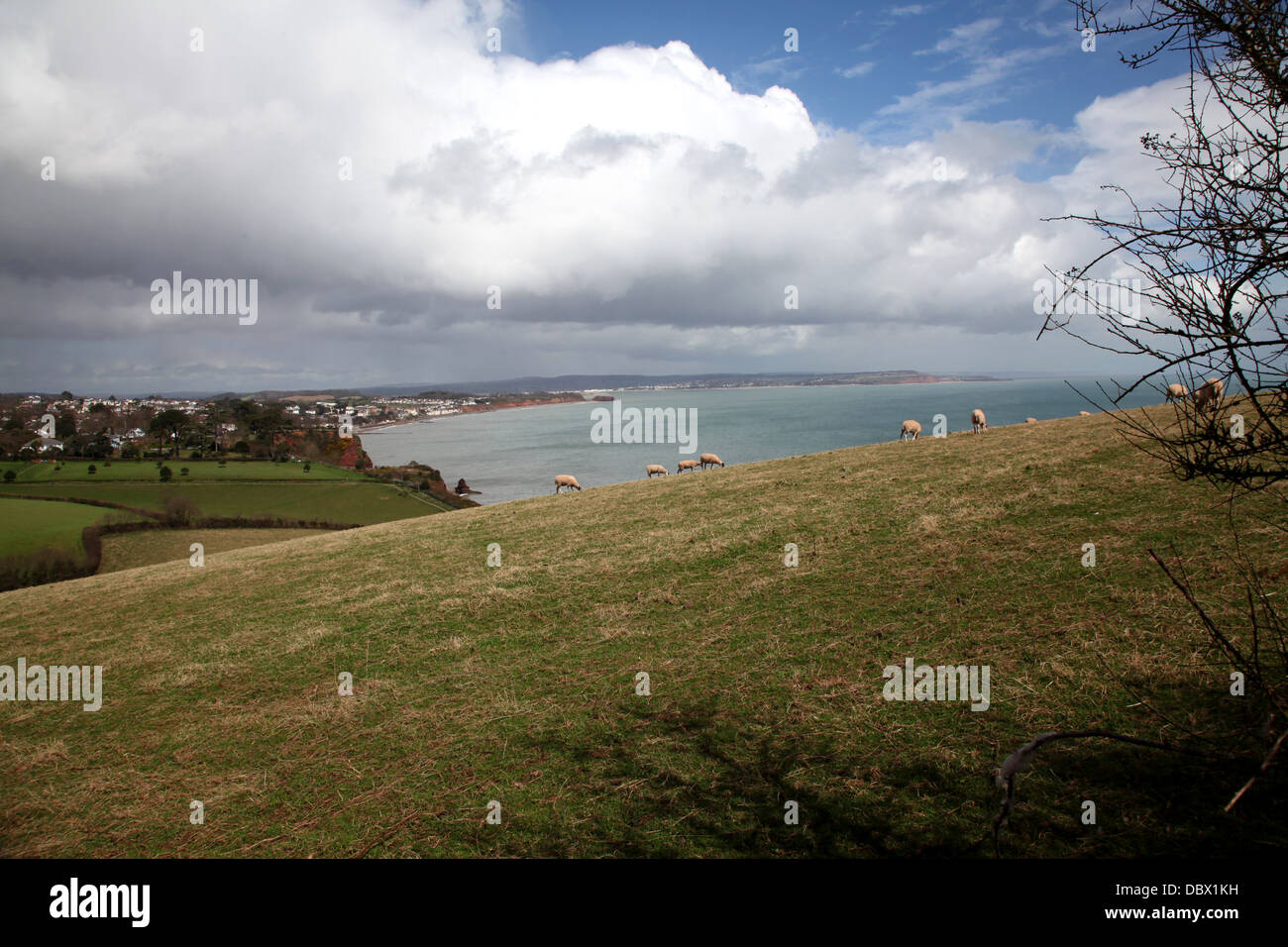 Un tipico inglese giornata estiva sulla South Devon Coast a Dawlish Foto Stock