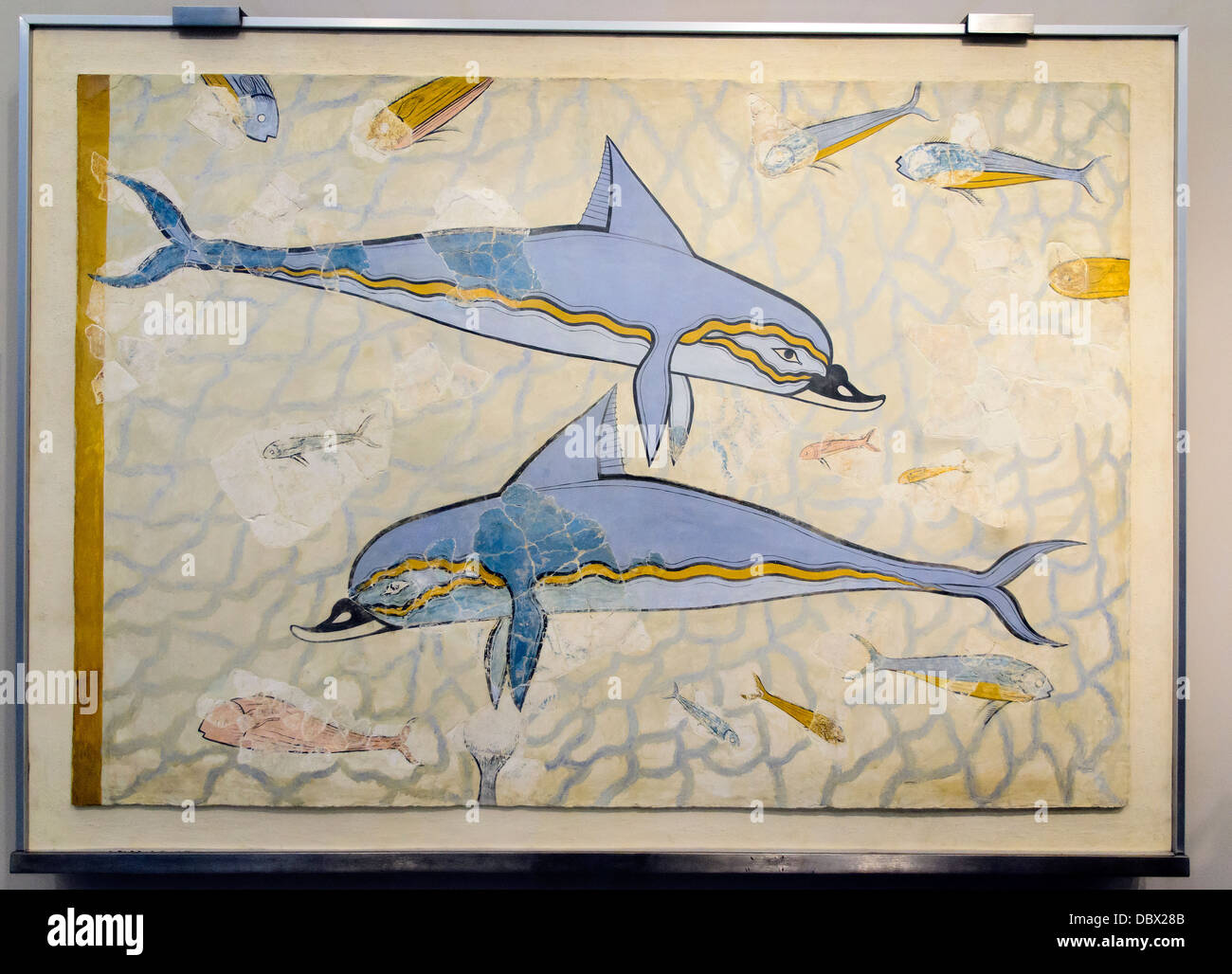 Il 'Delfino' affresco era parte di un paesaggio marino di composizione. Due delfini sono raffigurati il nuoto nel mezzo di piccoli pesci contro una massa iridescente che rappresenta il mare. Il decorate con affreschi della parete o del pavimento di una sala di sopra del "Queen's Megaron". Knossos Palace, Neopalatian periodo (1600-1450 a.C.). Museo Archeologico di Heraklion - Crete, Grecia Foto Stock