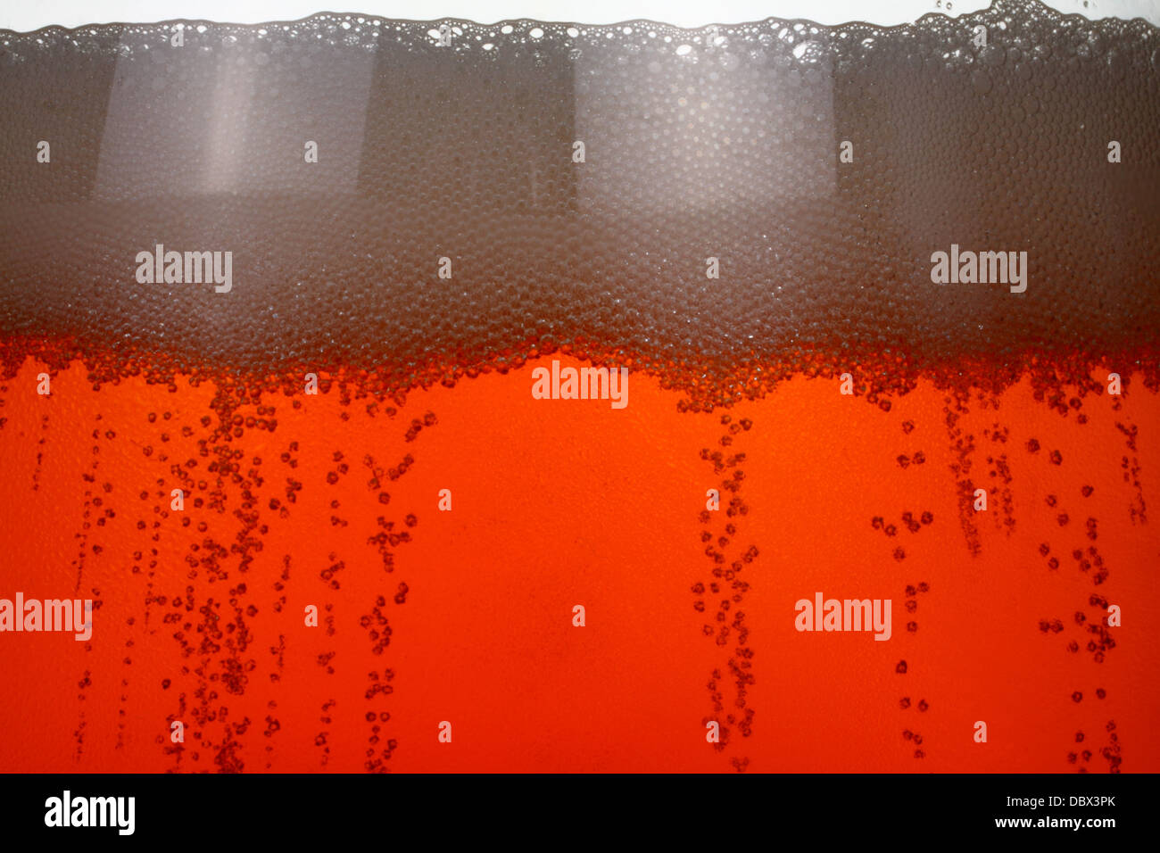 Bicchiere di birra lager su sfondo semplice Foto Stock