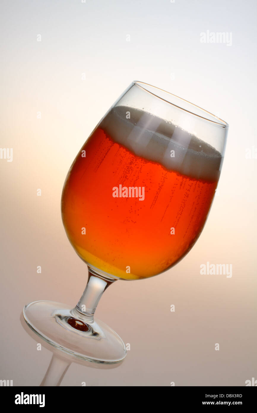 Bicchiere di birra lager su sfondo semplice Foto Stock