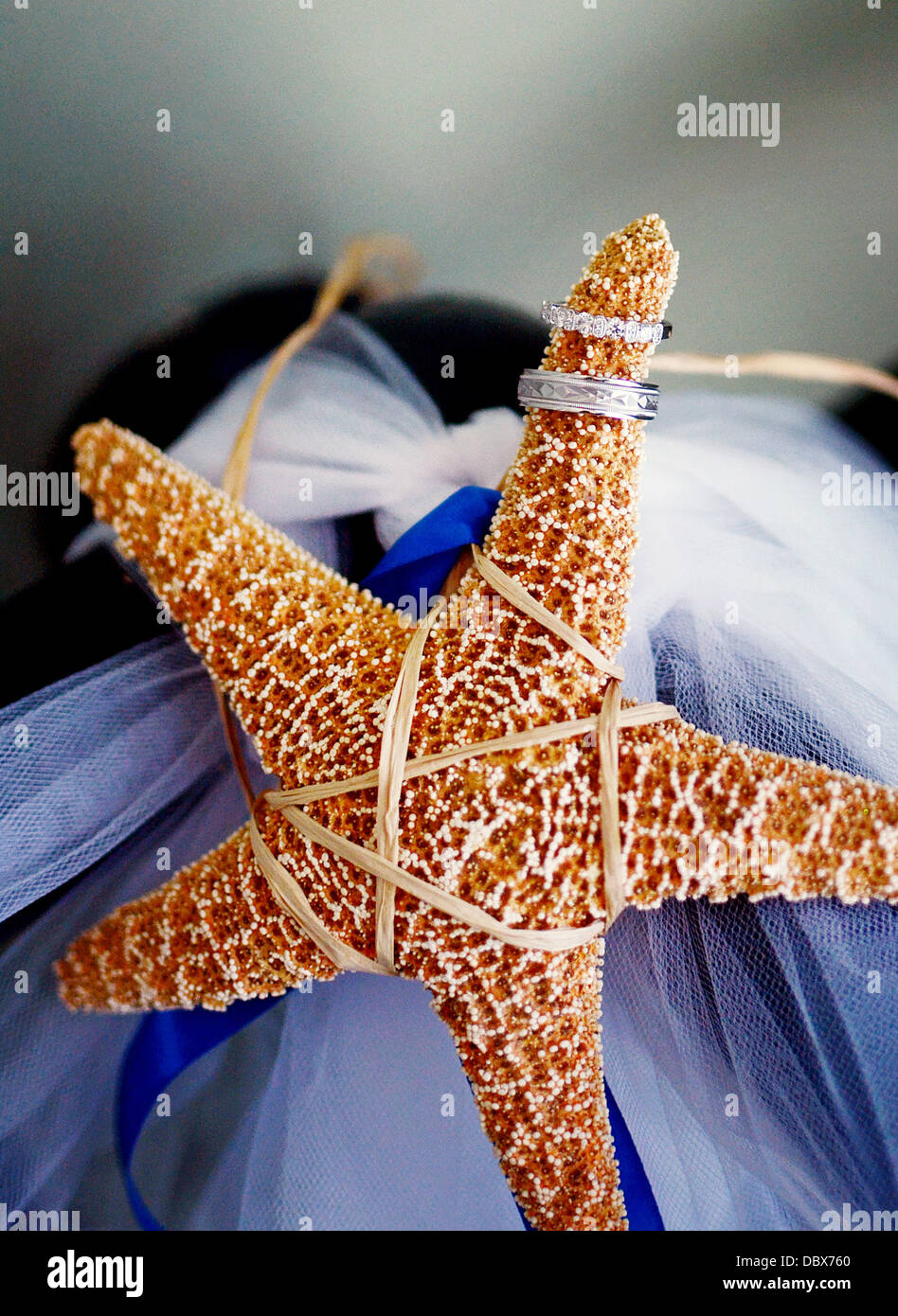 Dettaglio di un anello di nozze e wedding band su un seastar/starfish presso una spiaggia di nozze a tema presso il Jersey Shore Foto Stock