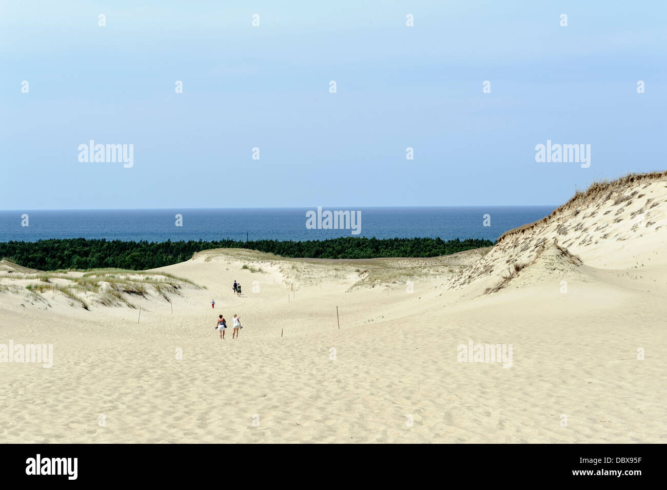 Shifting duna di sabbia Nagliu su Curonian Split, Lituania, Europa Foto Stock