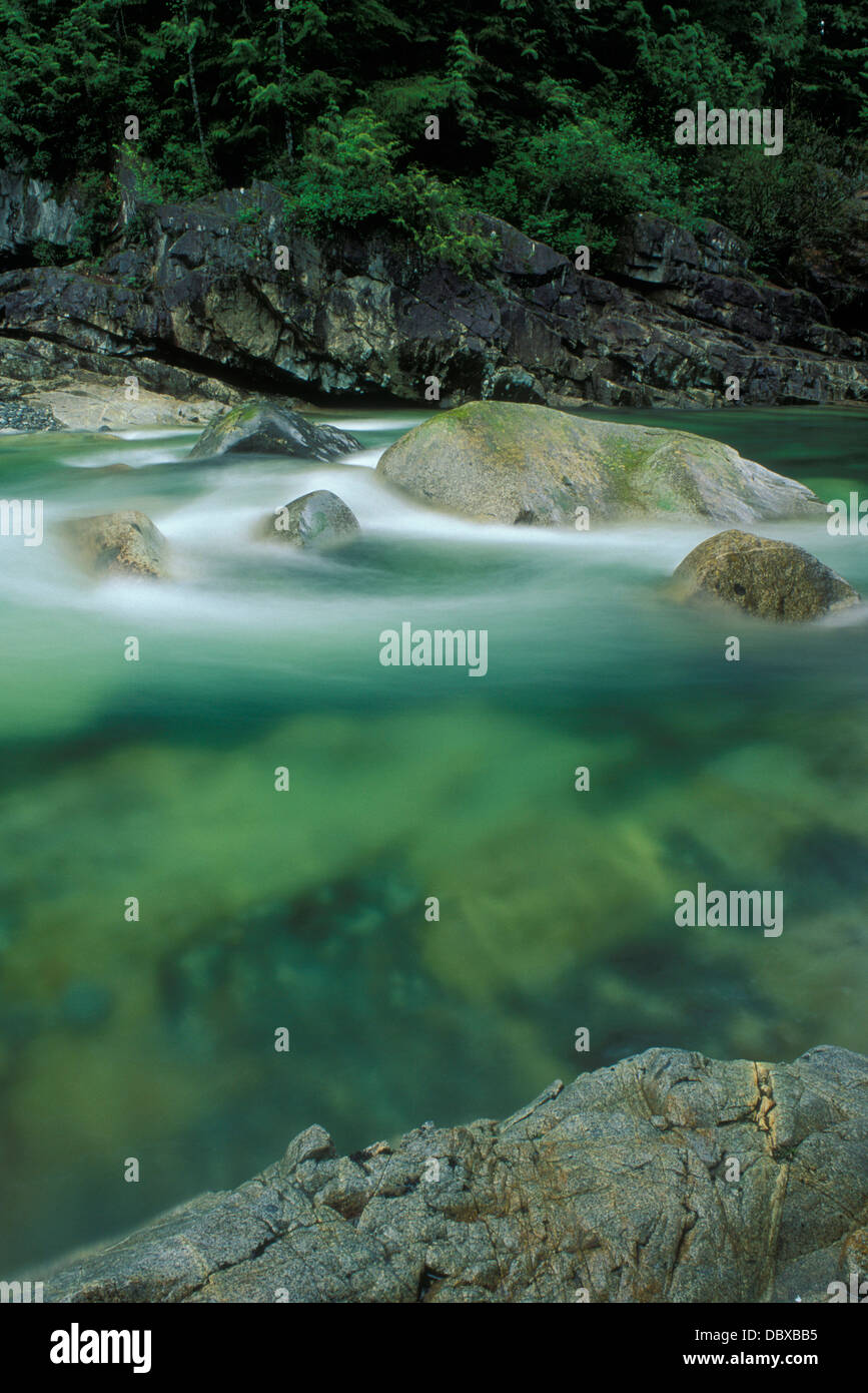 GOLD CREEK GOLDEN EARS PARCO PROVINCIALE DELLA COLUMBIA BRITANNICA IN CANADA Foto Stock