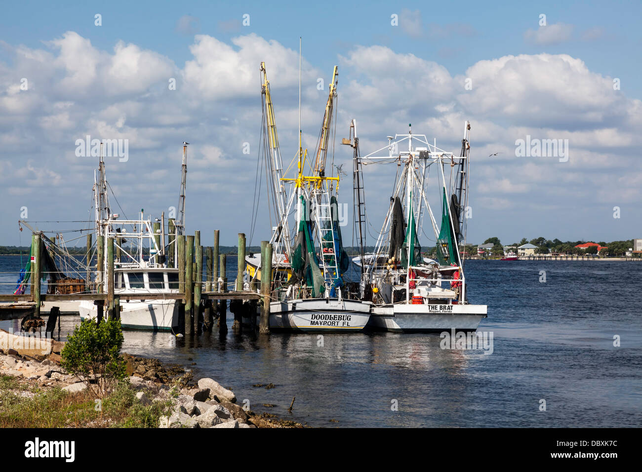 Commerciale di pesca le navi per la pesca a strascico al dock a Mayport lungo il fiume Saint John fino vicino a Jacksonville, Florida. Foto Stock