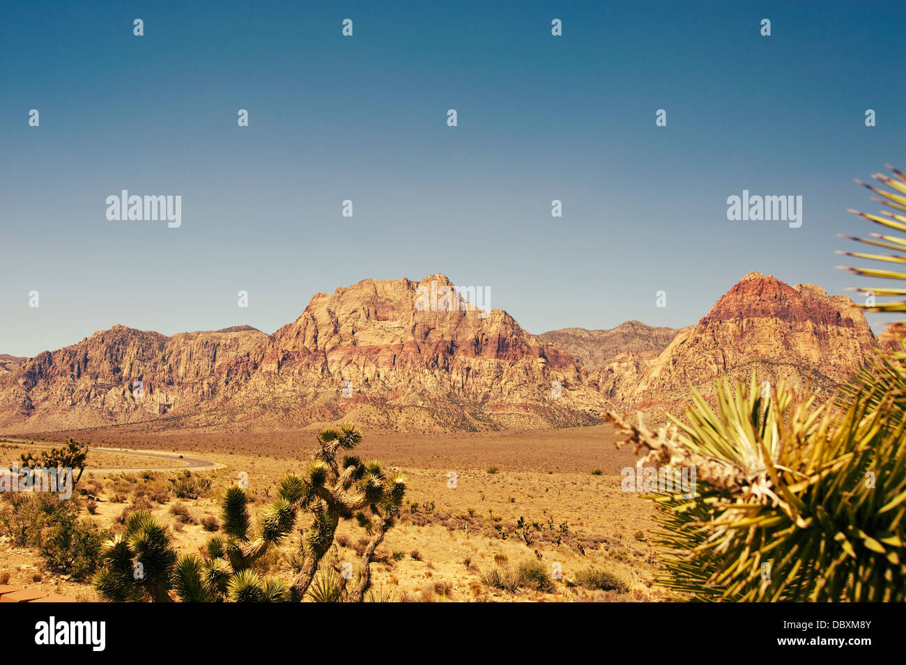 Il Red Rock Canyon National Conservation Area, Nevada Foto Stock