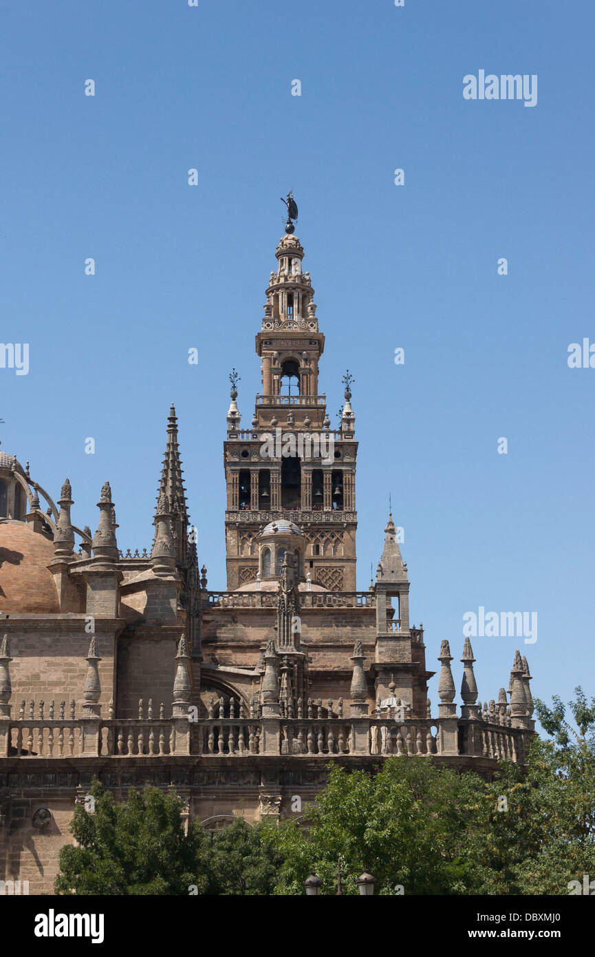 Il 'Giralda', come si vede dall'Alcazar di Siviglia, Spagna. Foto Stock
