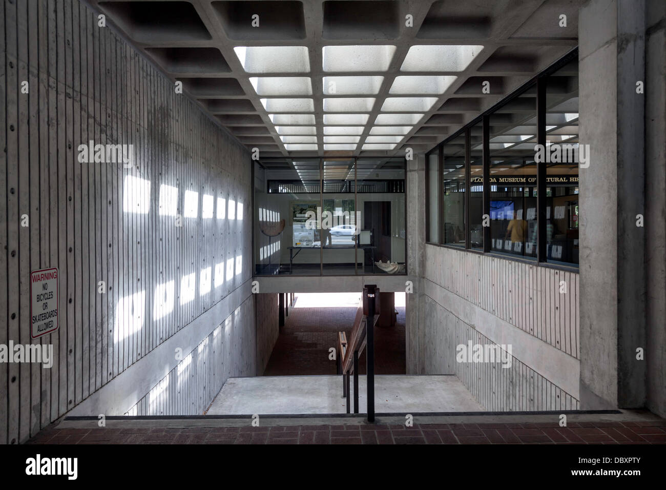 Scala pubblica in J.C. Dickinson, Jr. Hall (circa 1970) Progettato da architetto William Morgan. Foto Stock