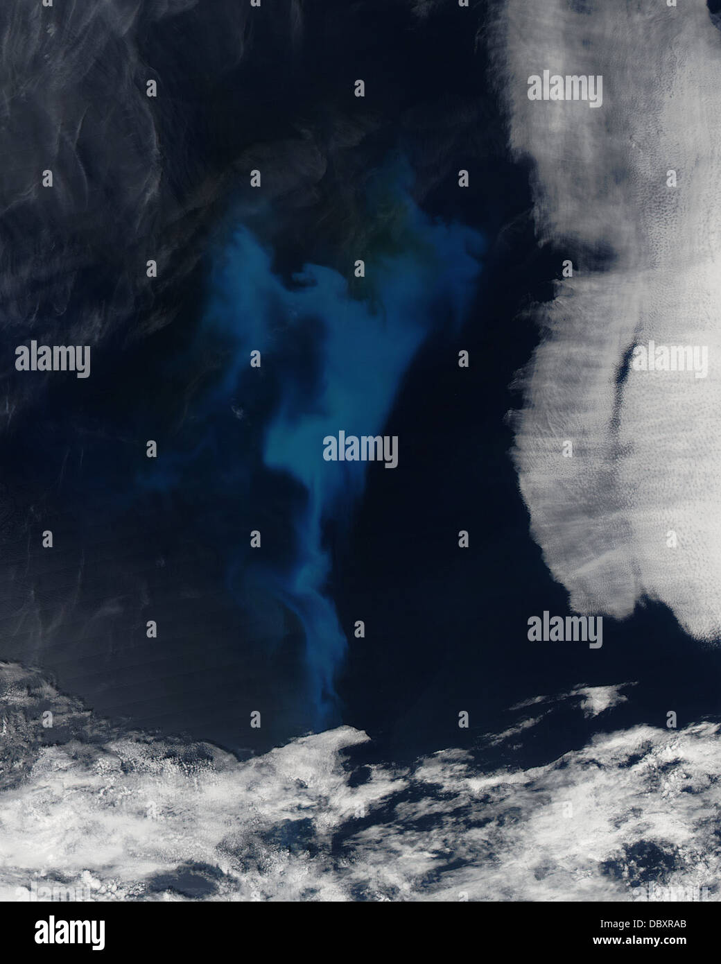 Bloom fitoplanctonico nell' Atlantico settentrionale Foto Stock