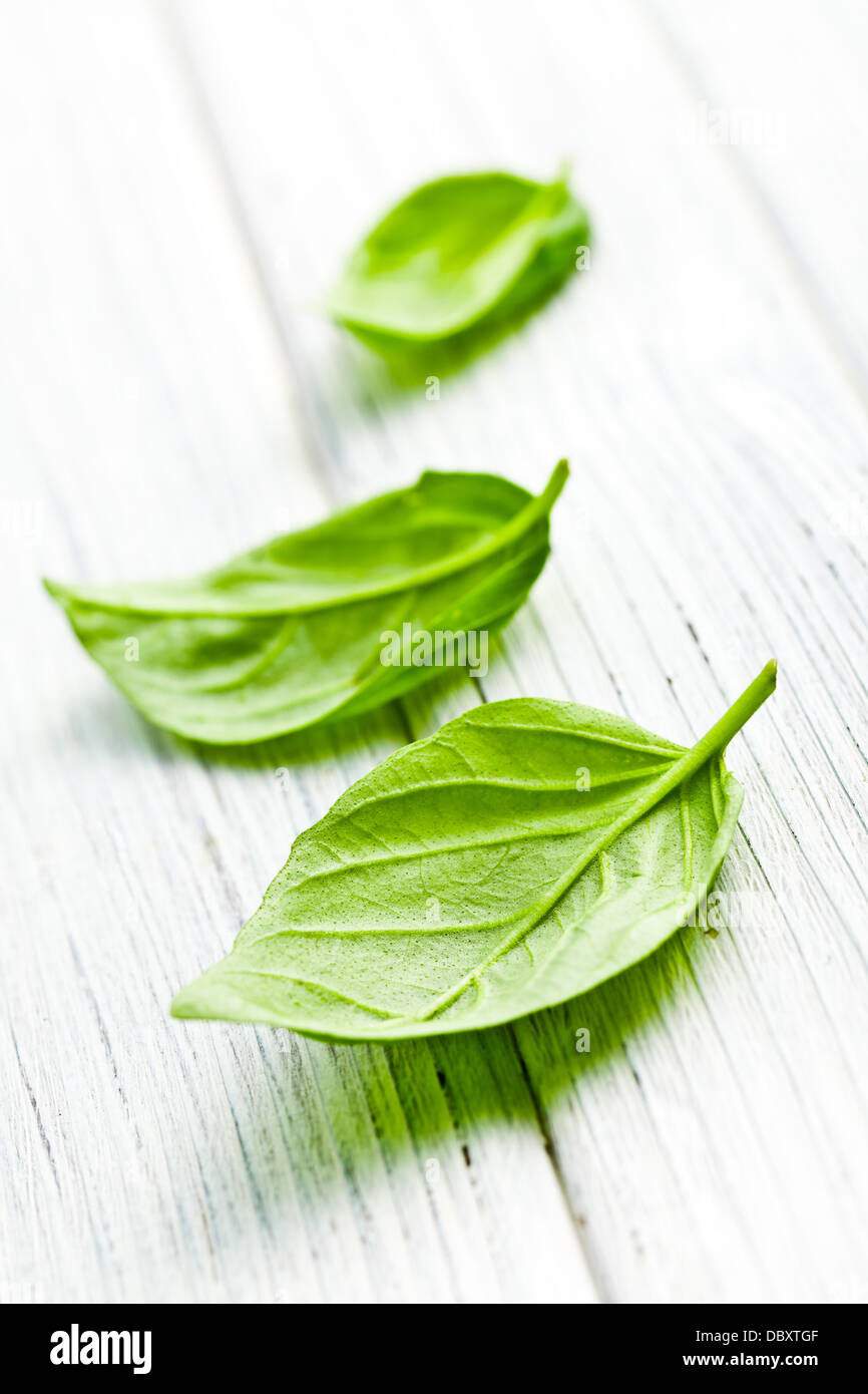 Le foglie di basilico sul tavolo da cucina Foto Stock