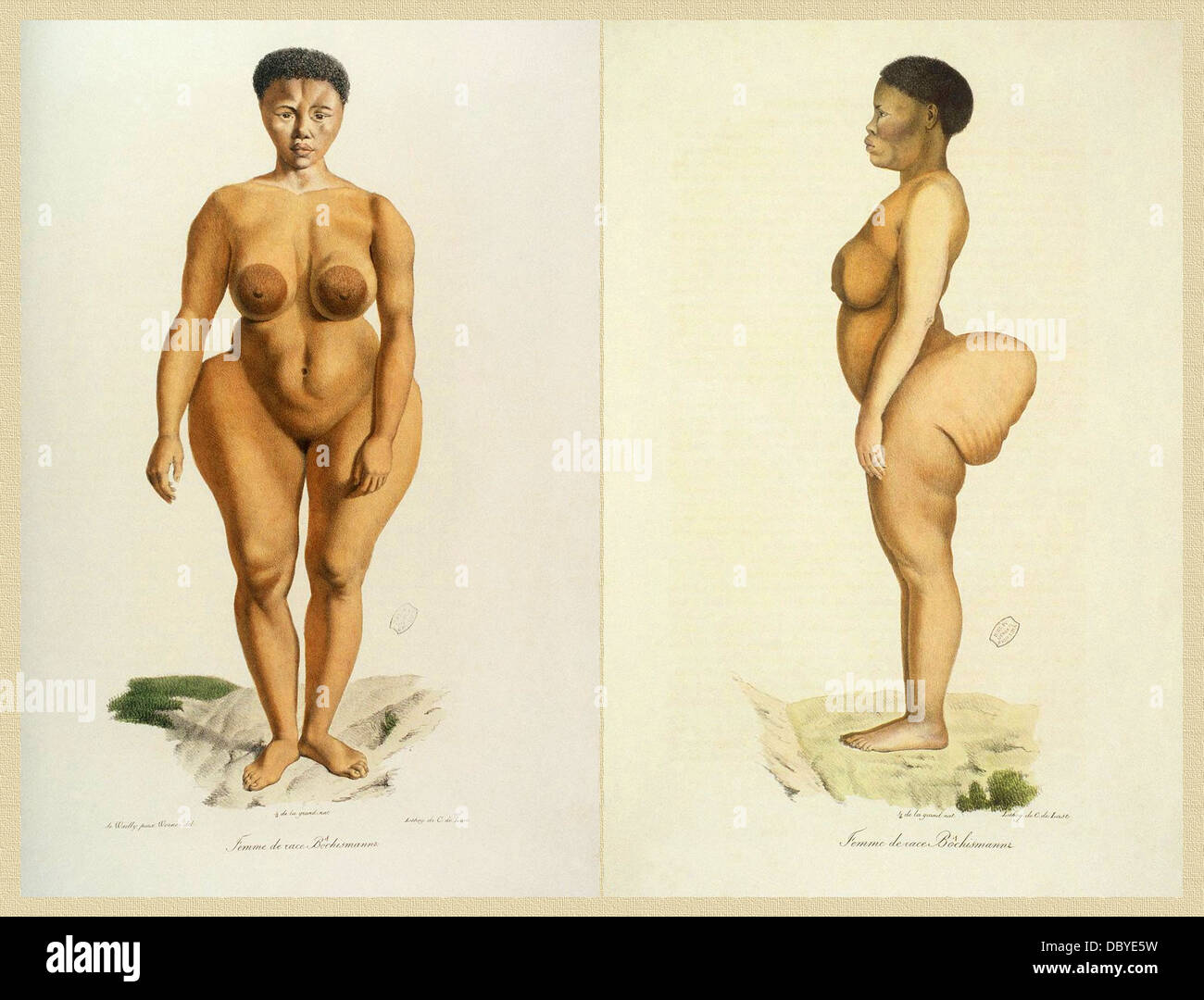 Sawtche, Sarah 'Saartjie' Baartman in Europa (ca.1790 - 1815), chiamato Hottentot Venus, catturato in Sud Africa, cron Foto Stock