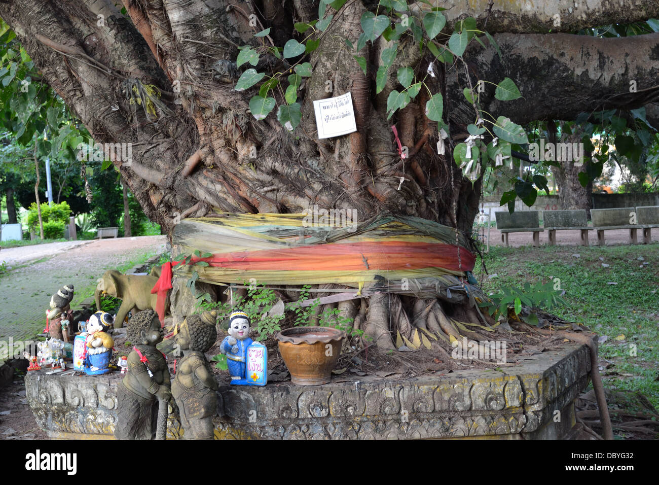 Albero decorato con nastri in Thailandia per una buona fortuna e aiutare gli spiriti ad albero Foto Stock
