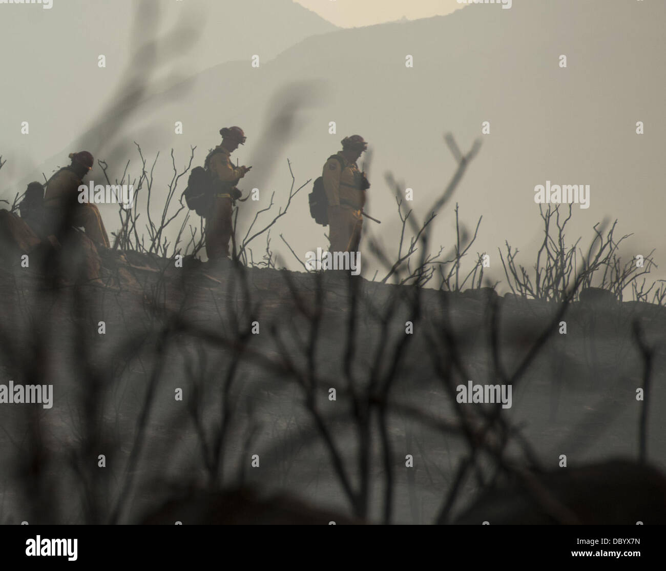 Agosto 5, 2013 - El Cariso, California, Stati Uniti - Cal Fire Vigili del Fuoco si muovono attraverso una recente area bruciata lungo un crinale in Cleveland National Forest lunedì pomeriggio. Una spazzola incendio scoppiato oggi in Cleveland National Forest diffusione di 1.500 acri e ha portato alla chiusura di un collegamento autostradale tra fiume e nelle contee di Orange, come pure le evacuazioni. Il blaze è stato segnalato intorno alle ore 10.00 circa cinque miglia a ovest del Lago di Elsinore e appena a sud di Ortega (74) autostrada. (Credito Immagine: © David Bro/ZUMAPRESS.com) Foto Stock