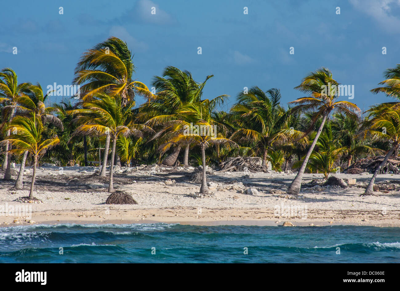 La foto è stata scattata in Cozumel, Messico Foto Stock