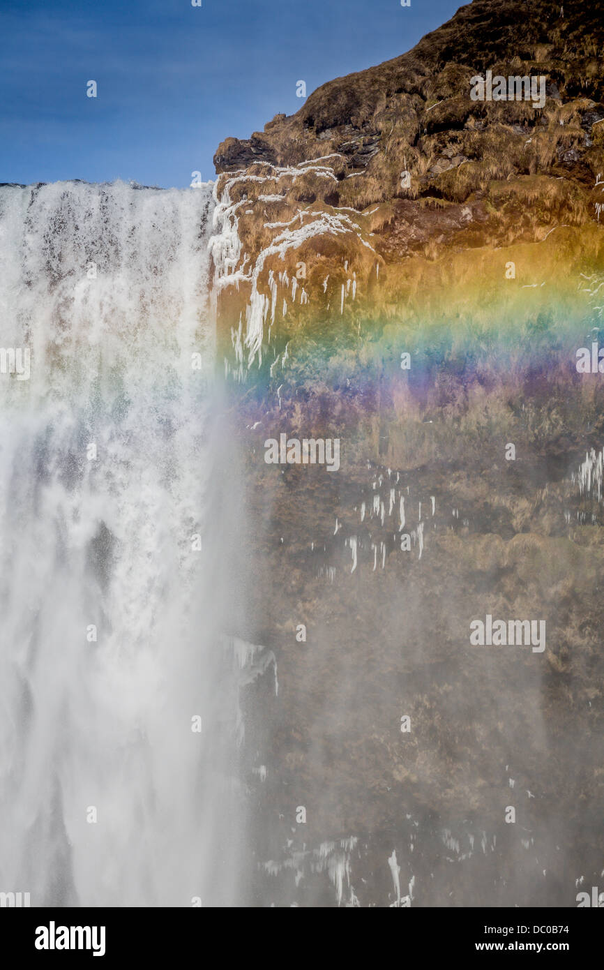 Congelati cascata Skogafoss con arcobaleno, Islanda. Foto Stock