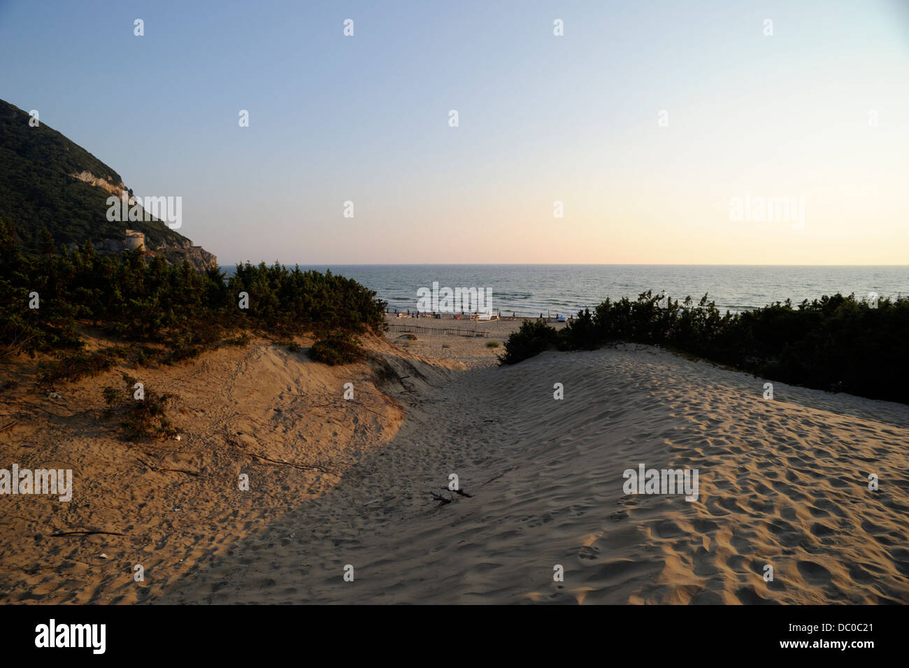 CESI Full Body Ossido 10x10 Tratto Schema 2 su rete main image 0