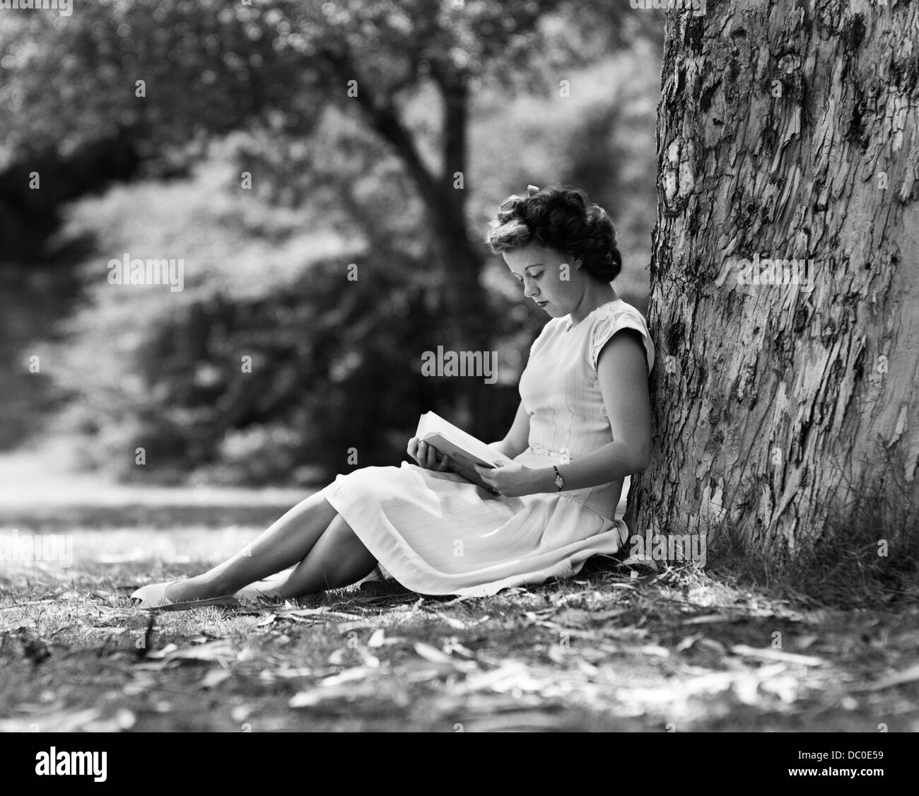 Anni Cinquanta giovane donna lettura libro seduti sotto agli alberi Foto Stock
