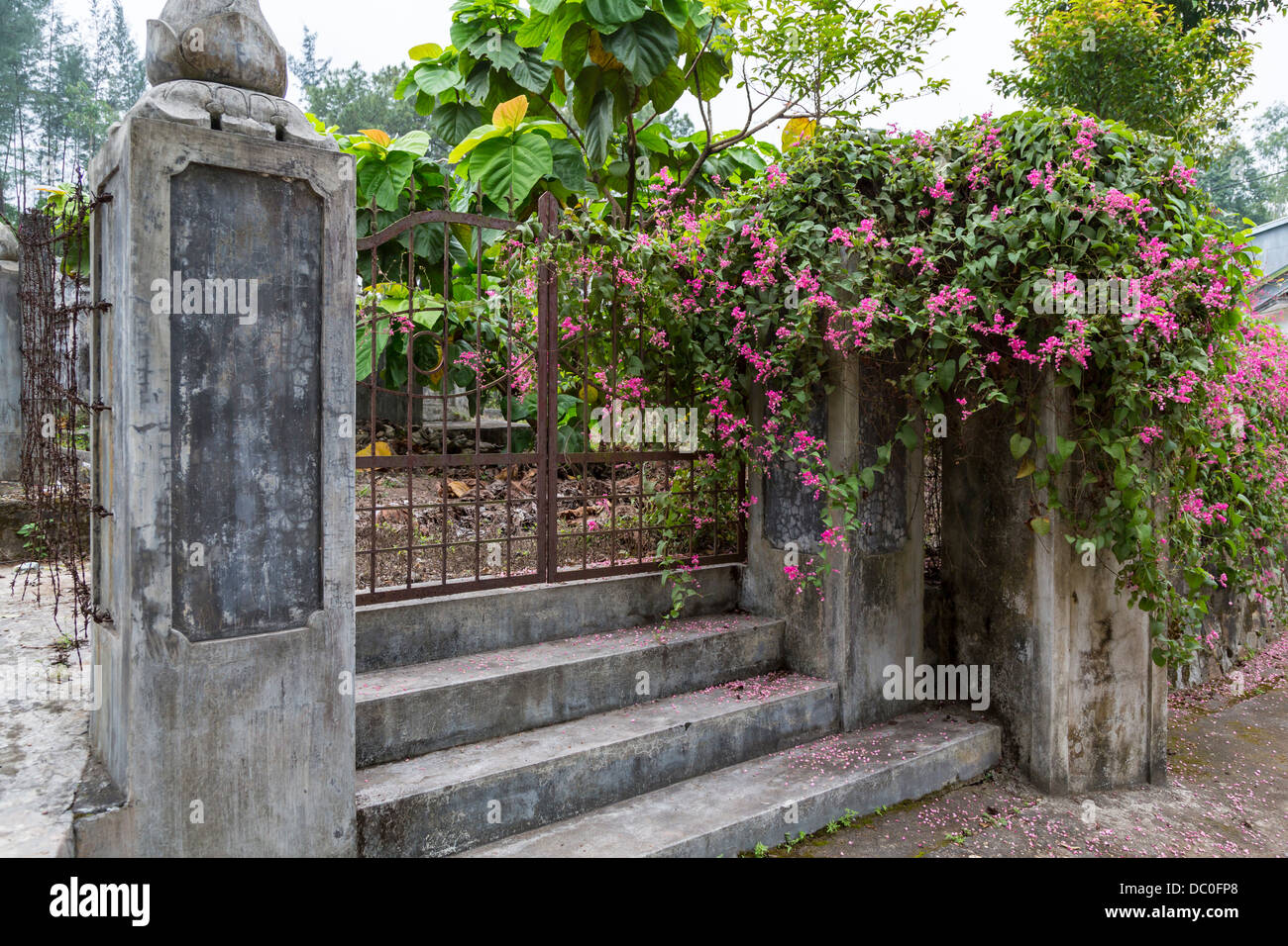 Il Dong Thuyen Pagoda e il monastero in tinta, Vietnam, in Asia. Foto Stock