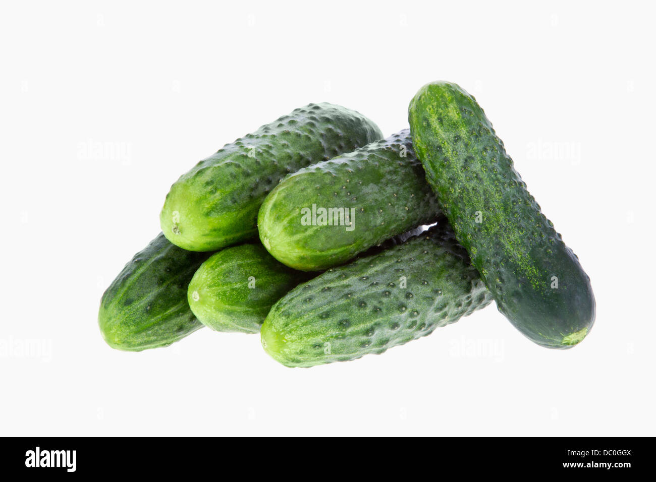 Un maturo cetriolo isolati su sfondo bianco Foto Stock