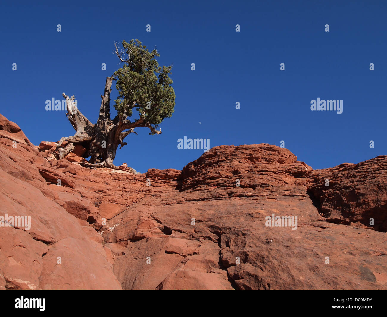 La vista fino all'Aeroporto Mesa a Sedona, in Arizona, Stati Uniti, America Foto Stock