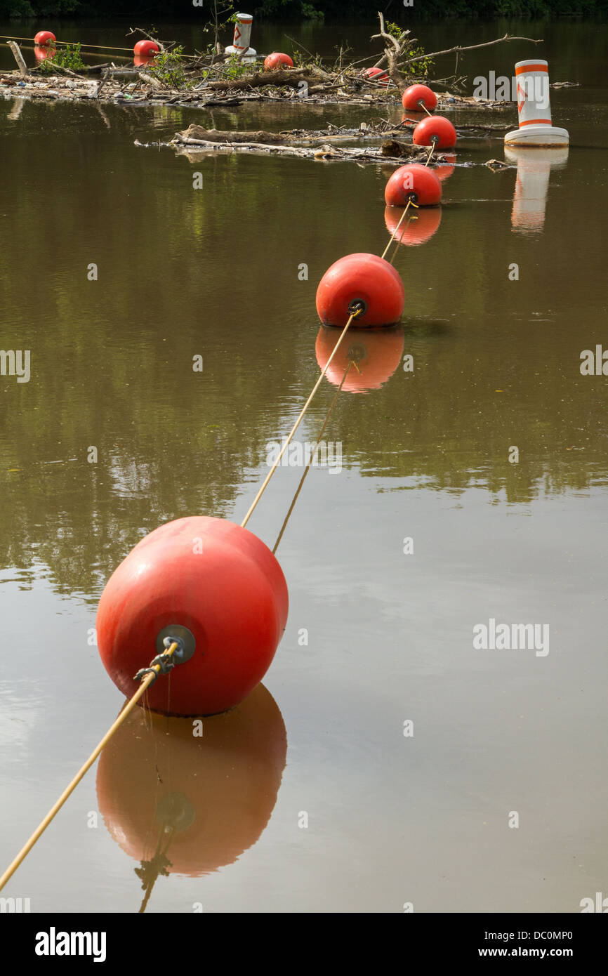 Boe di acqua Foto Stock
