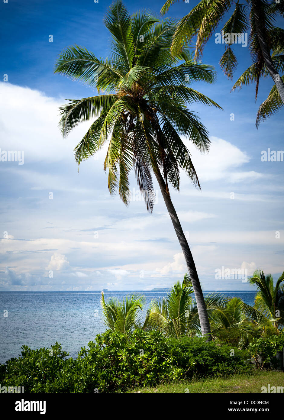 L'Isola di Mana, Fiji. La stupenda vista sul mare di questo paradiso tropicale nel Sud Pacifico. Foto Stock