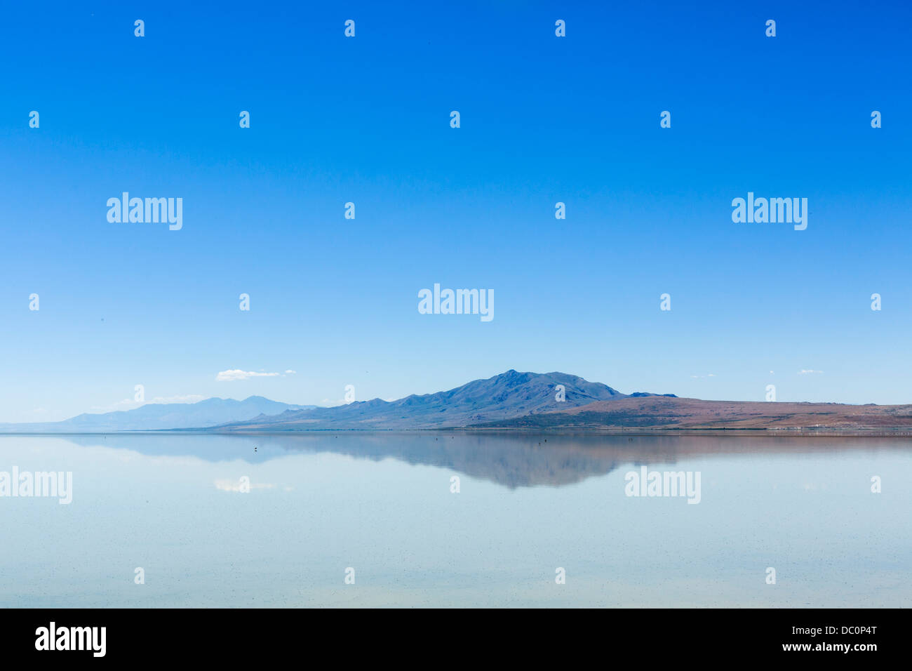 Antelope Island, Antelope Island State Park, fantastica Salt Lake, Utah, Stati Uniti d'America Foto Stock