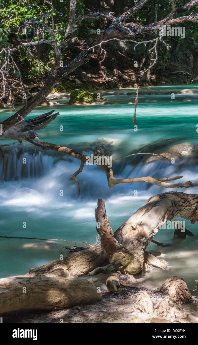La foto è stata scattata in Chiapas, Messico Foto Stock
