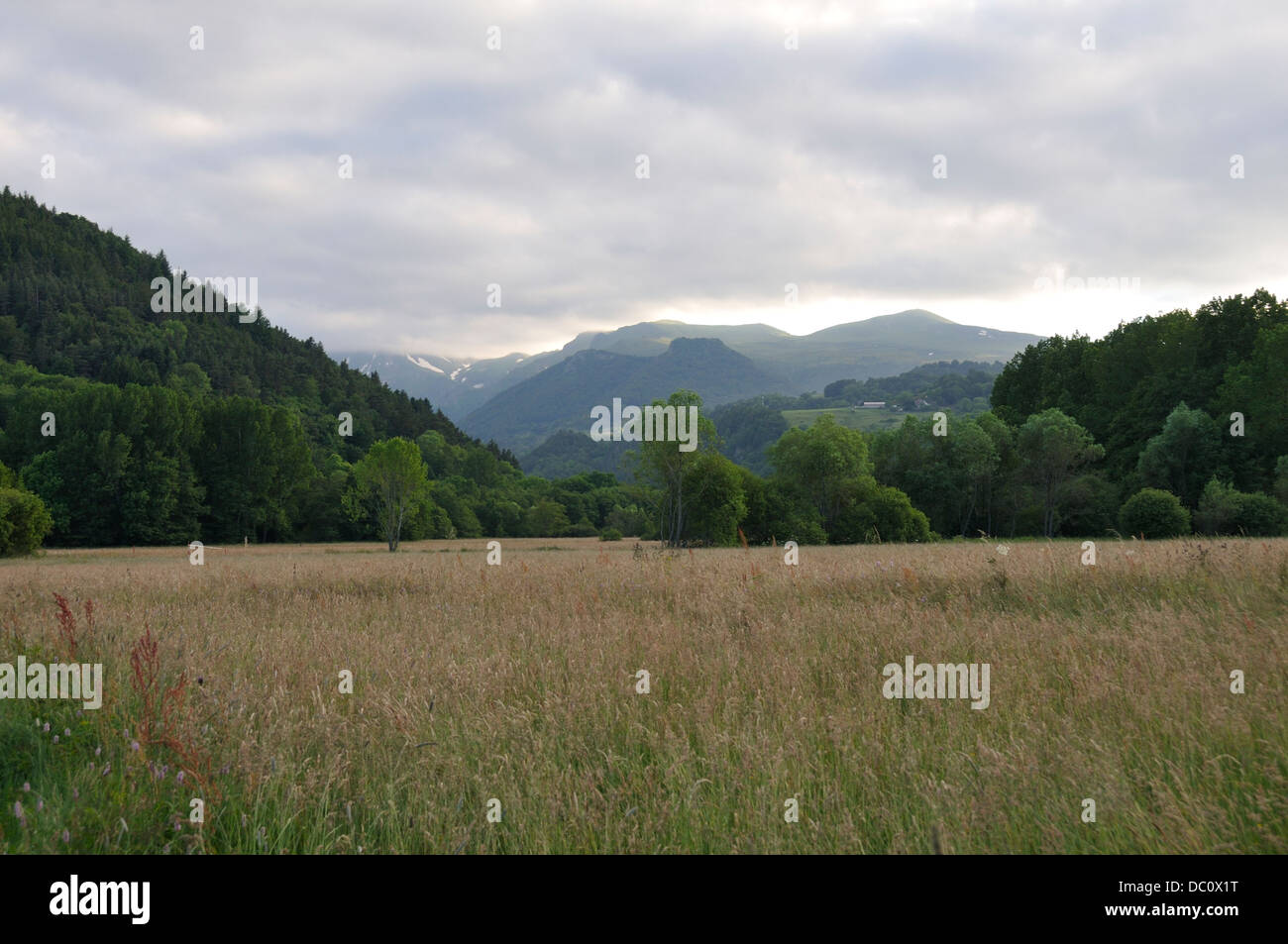 I vulcani visto da Lac Chambon Foto Stock