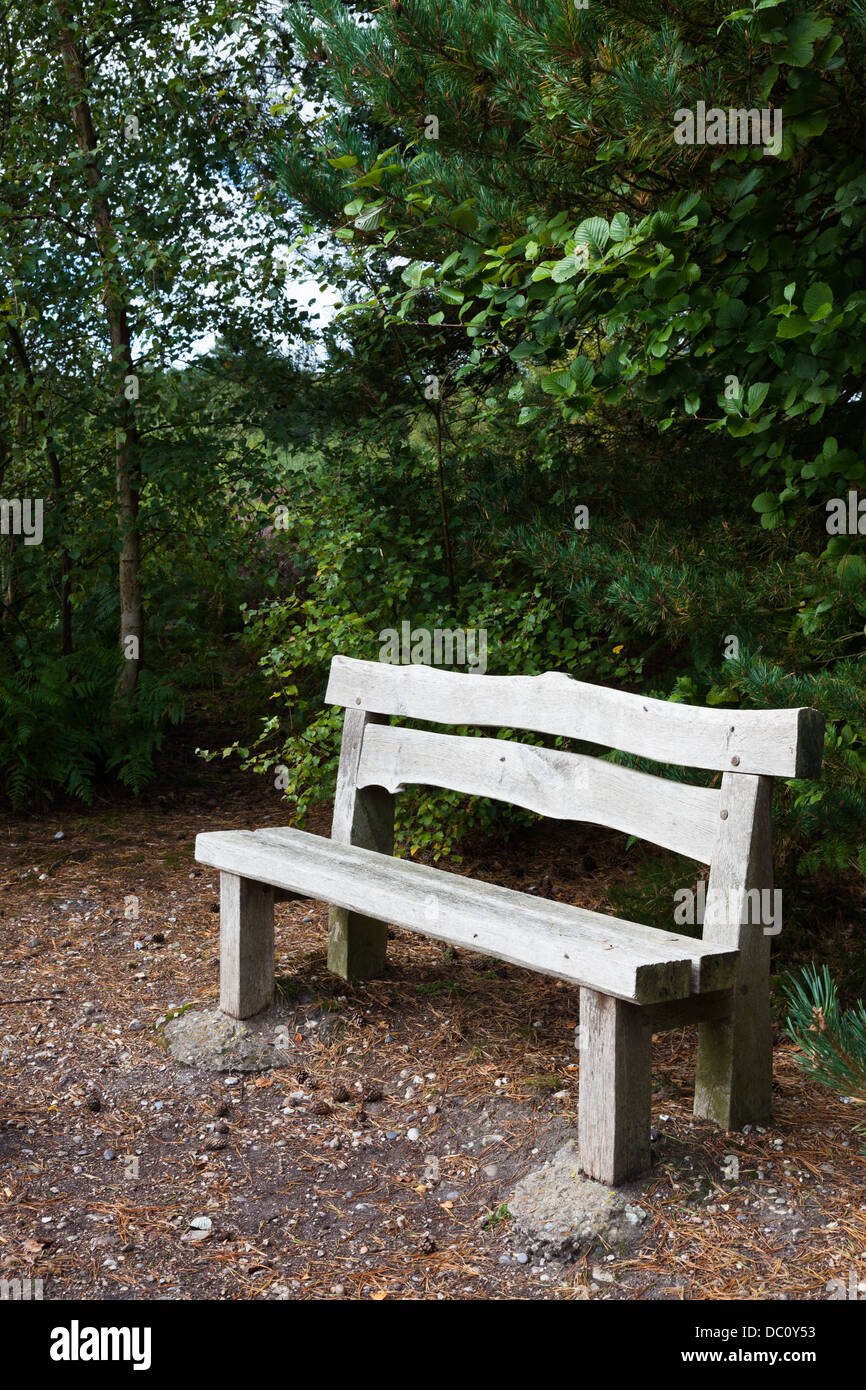 Sedile in legno in Country Park Foto Stock