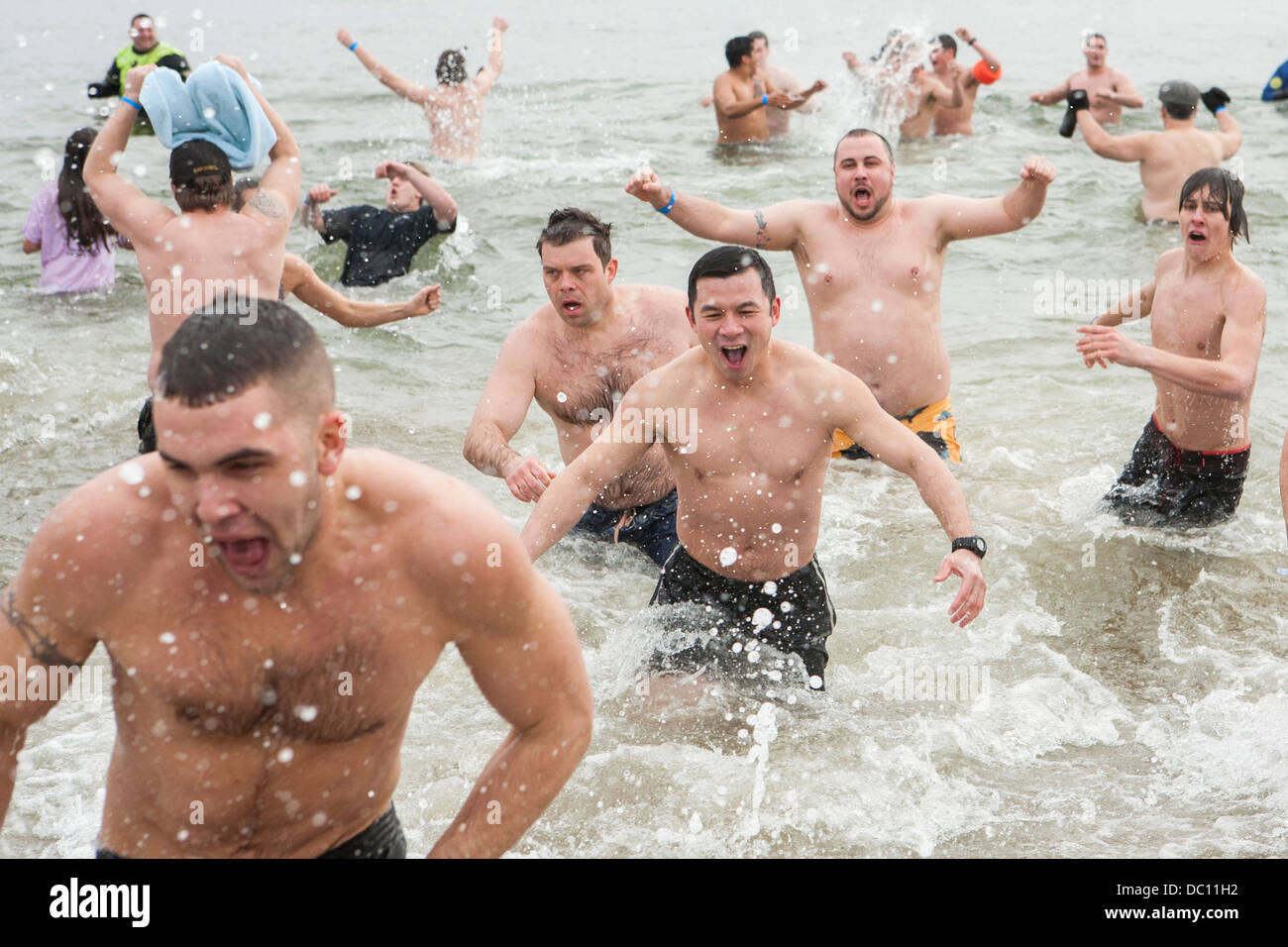 Un orso polare tuffatevi nel caso in cui i partecipanti saltare in acqua ghiacciata durante l'inverno. Foto Stock