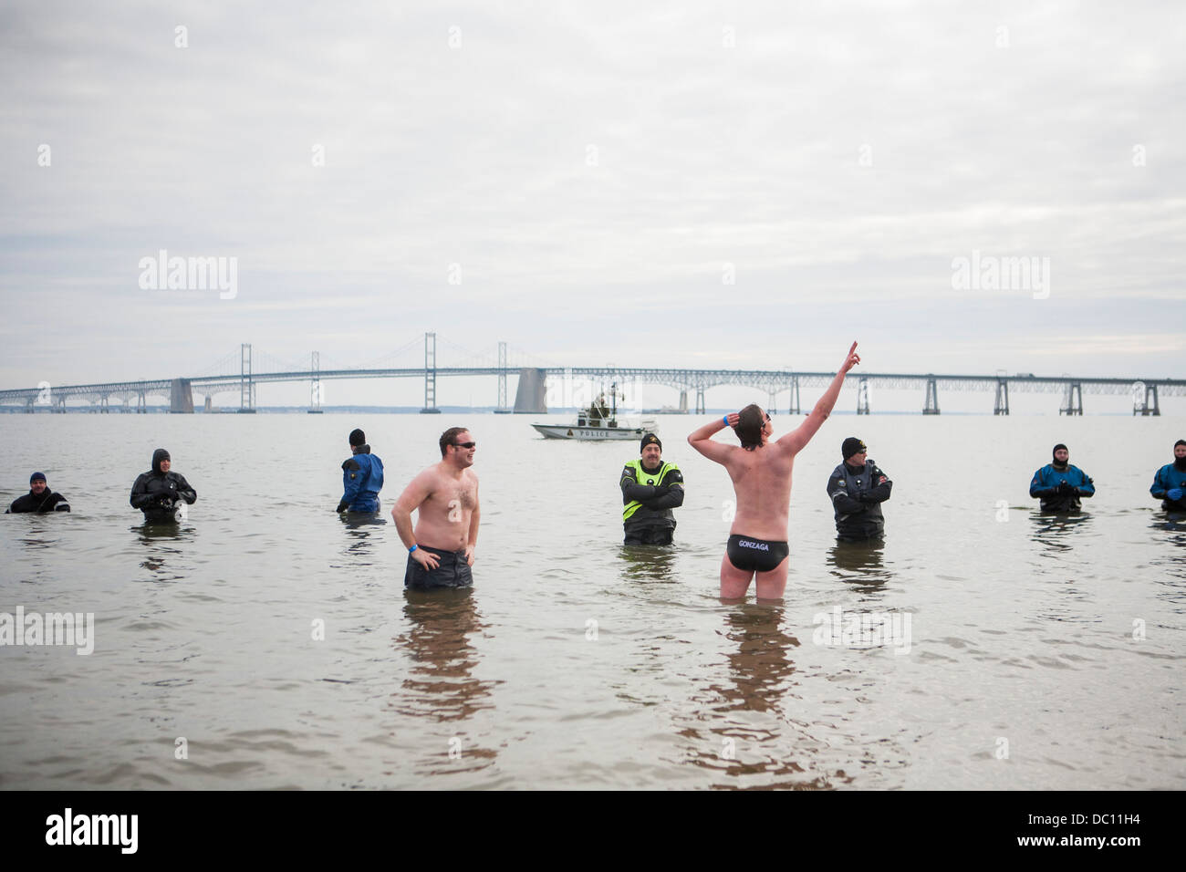 Un orso polare tuffatevi nel caso in cui i partecipanti saltare in acqua ghiacciata durante l'inverno. Foto Stock