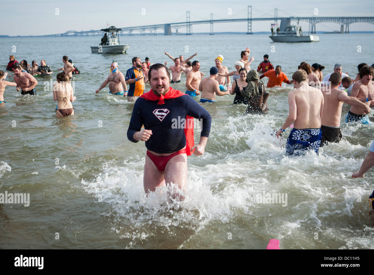 Un orso polare tuffatevi nel caso in cui i partecipanti saltare in acqua ghiacciata durante l'inverno. Foto Stock