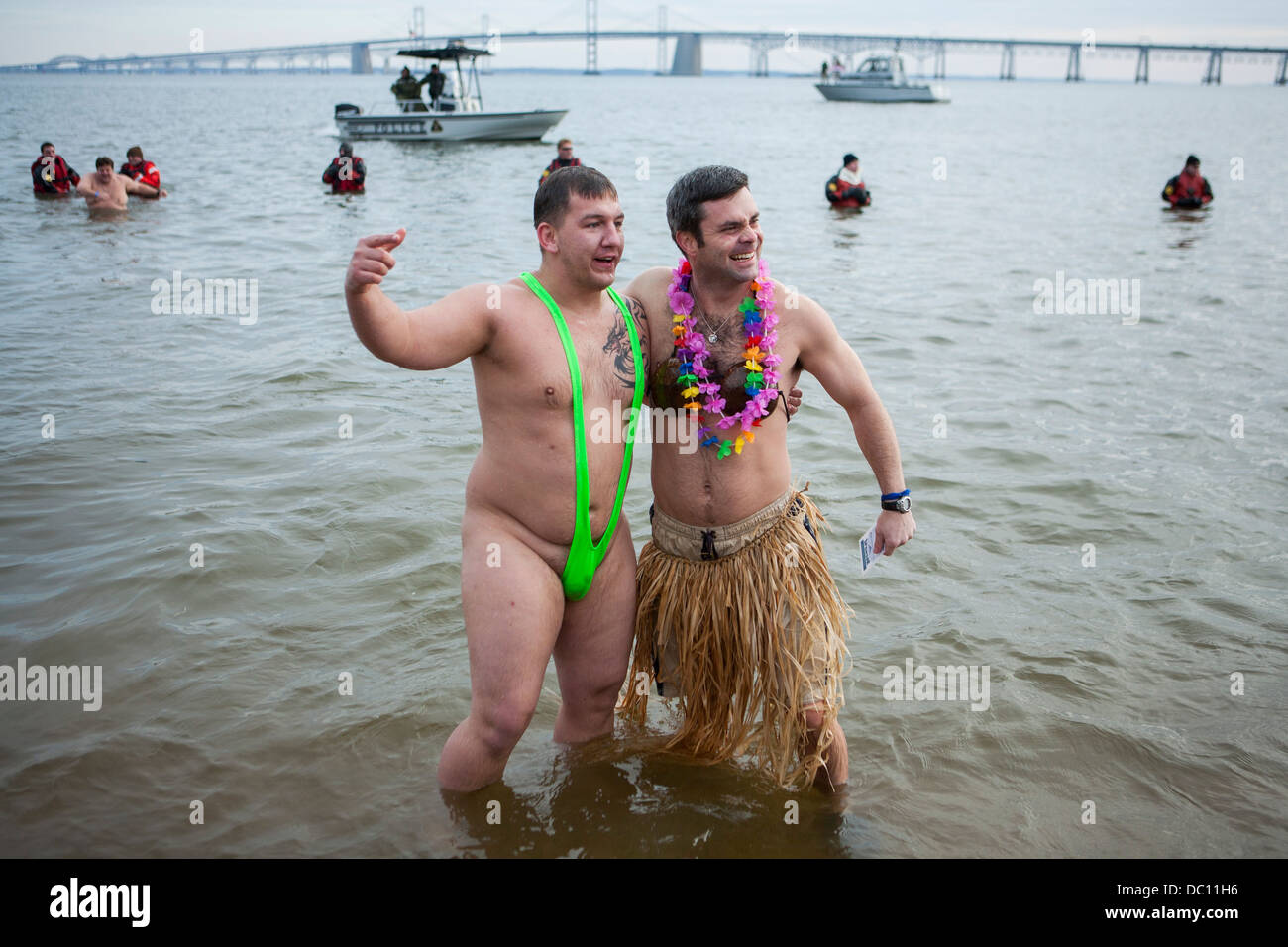 Un orso polare tuffatevi nel caso in cui i partecipanti saltare in acqua ghiacciata durante l'inverno. Foto Stock