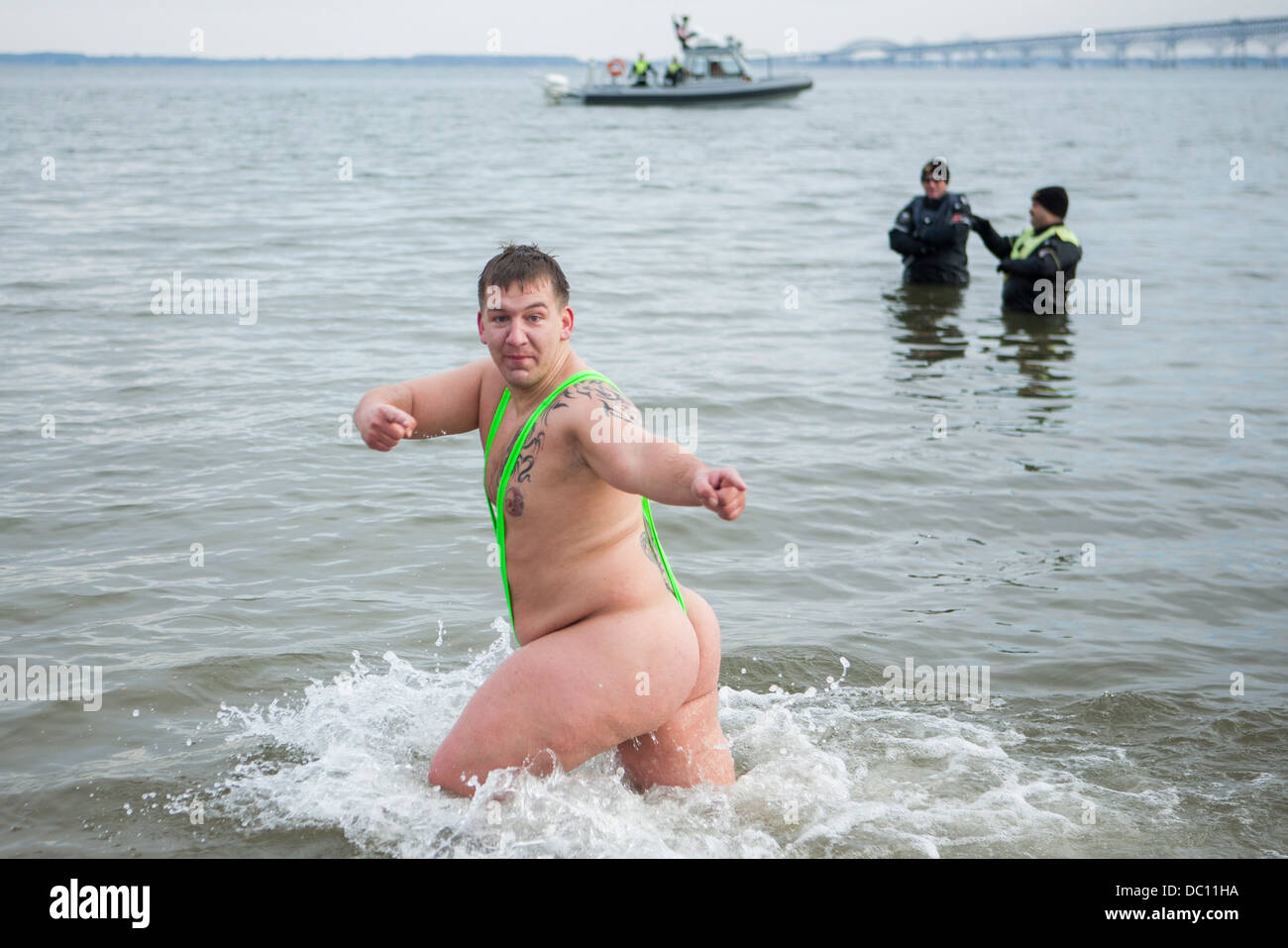 Un orso polare tuffatevi nel caso in cui i partecipanti saltare in acqua ghiacciata durante l'inverno. Foto Stock
