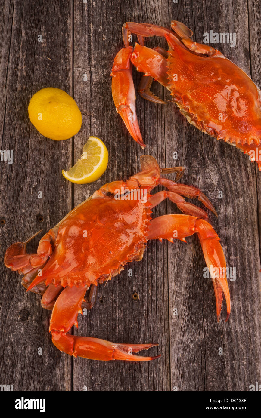 Il Granchio cotto su sfondo rustico. Foto Stock