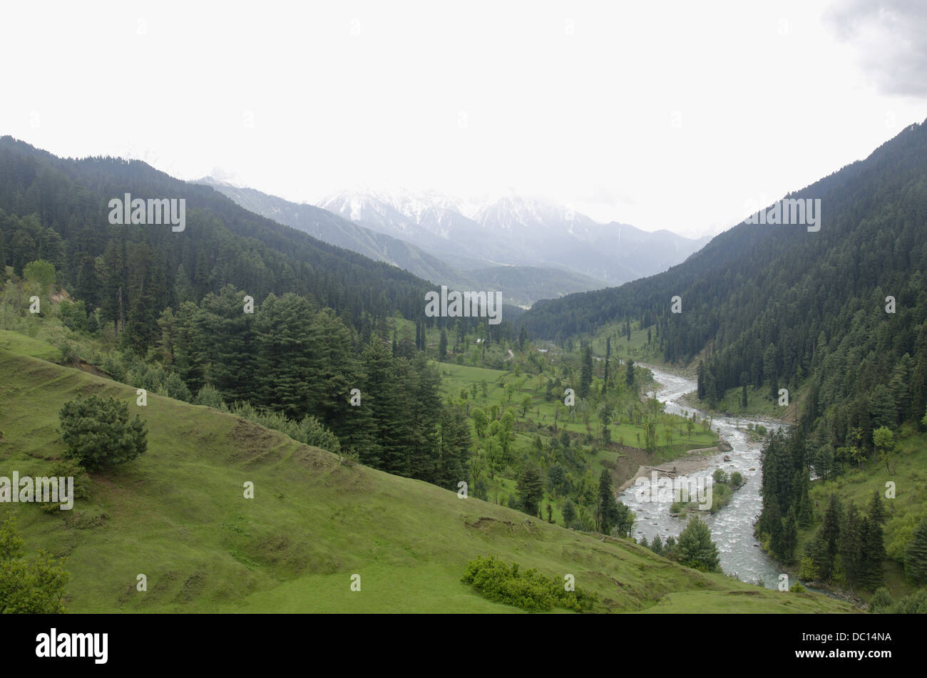 Fiume Lidder sul modo di Pahalgam, Jammu e Kashmir in India. Foto Stock