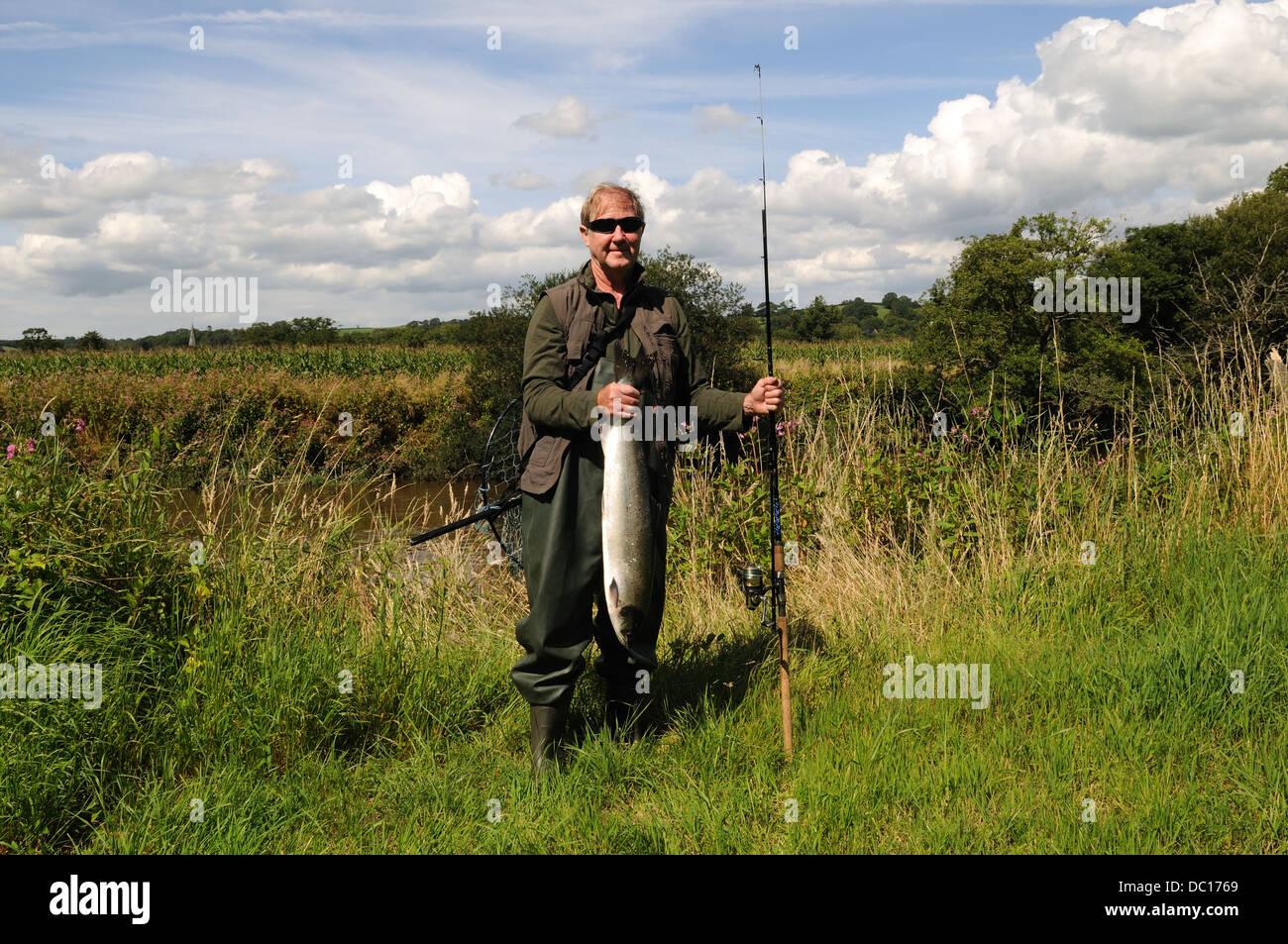 Pescatore pescatore tenendo un un salmone pescato nel Towy Fiume Tywi Carmarthenshire Galles Cymru REGNO UNITO GB Foto Stock