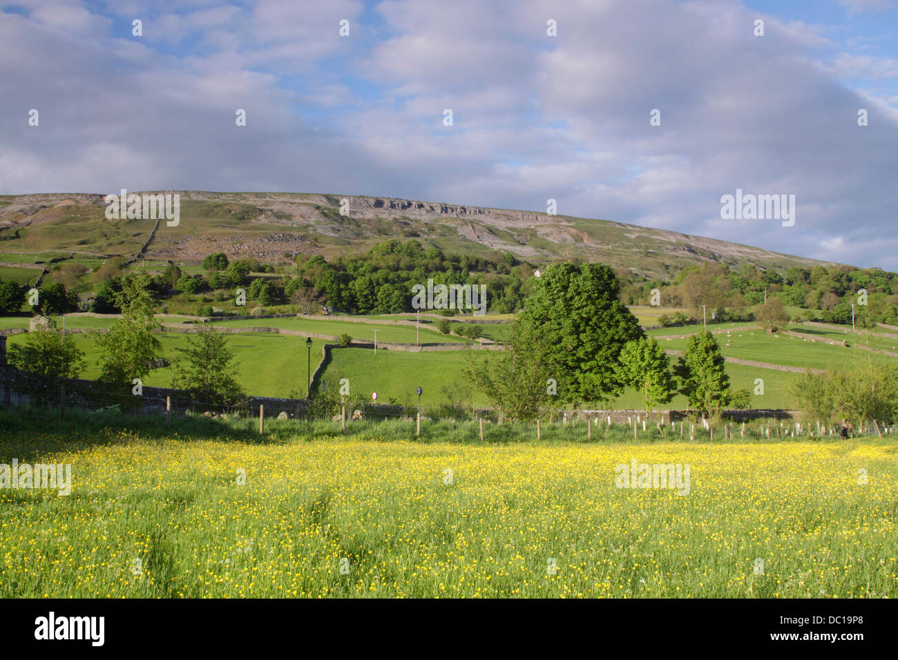 Vista del selvaggio fiore prati, Reeth, Swaledale, Yorkhire Dales National Park, North Yorkshire, Inghilterra, Regno Unito, Giugno Foto Stock