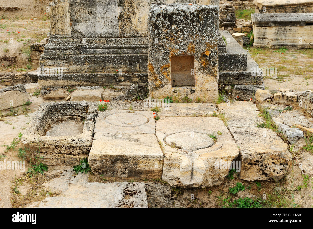 Frantoio Hierapolis, costa Egea, Turchia Foto Stock