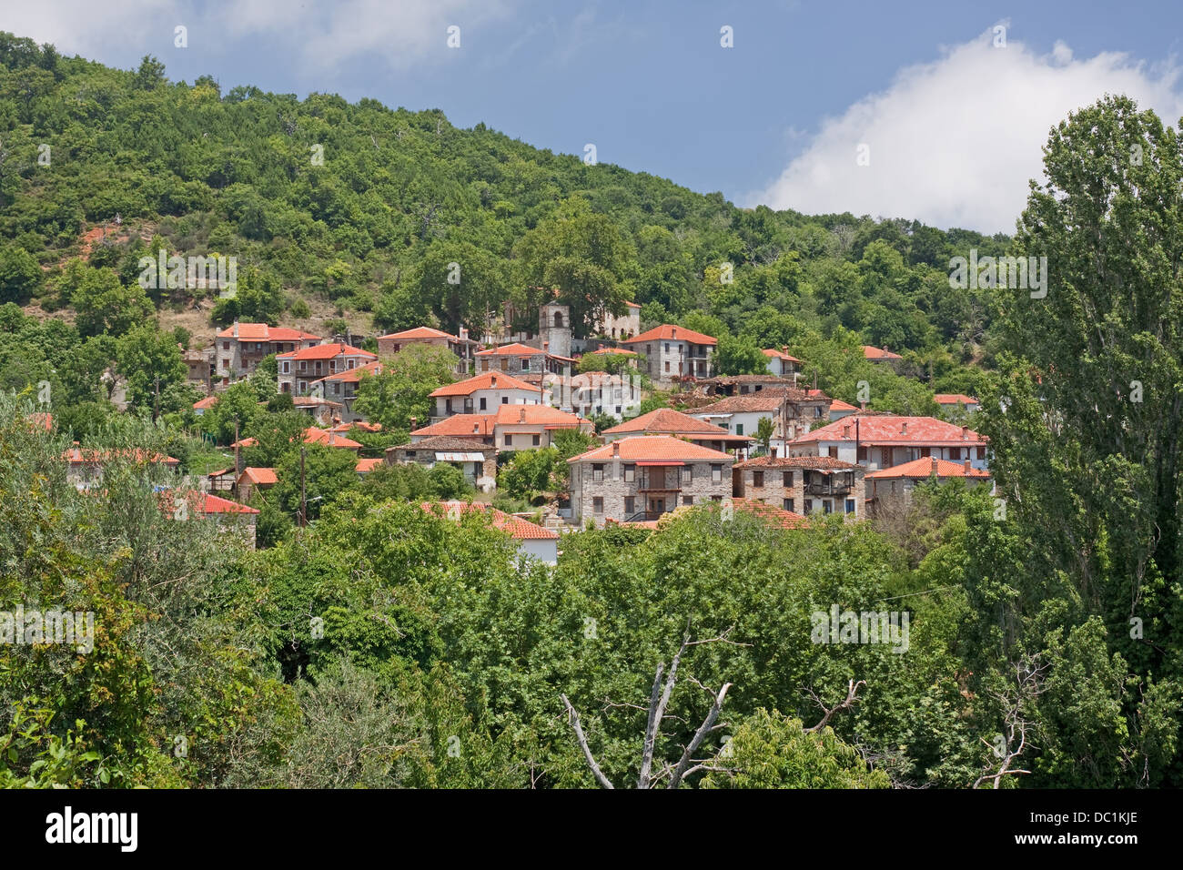 Il villaggio di Megalovriso sulle pendici della montagna di Kissavos, regione di Larissa, Grecia Foto Stock