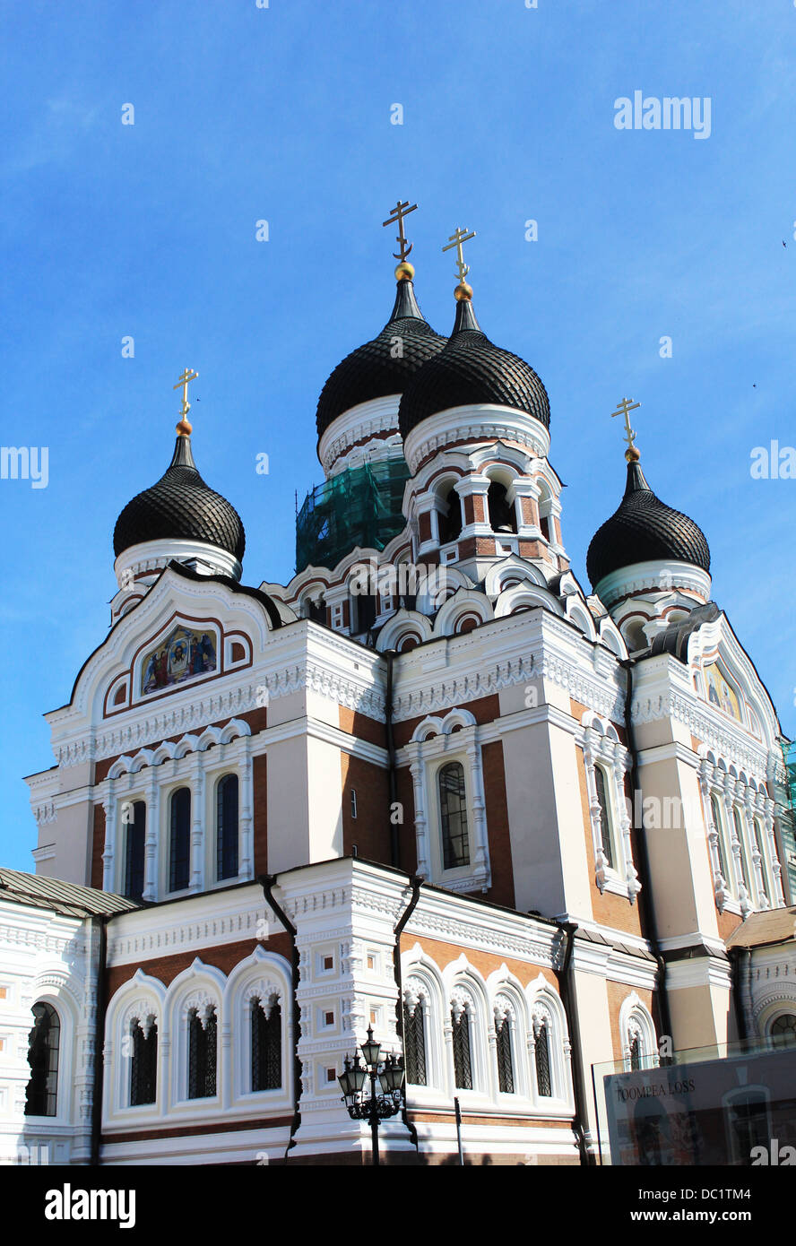 La Cattedrale Alexander Nevsky - Foto Stock