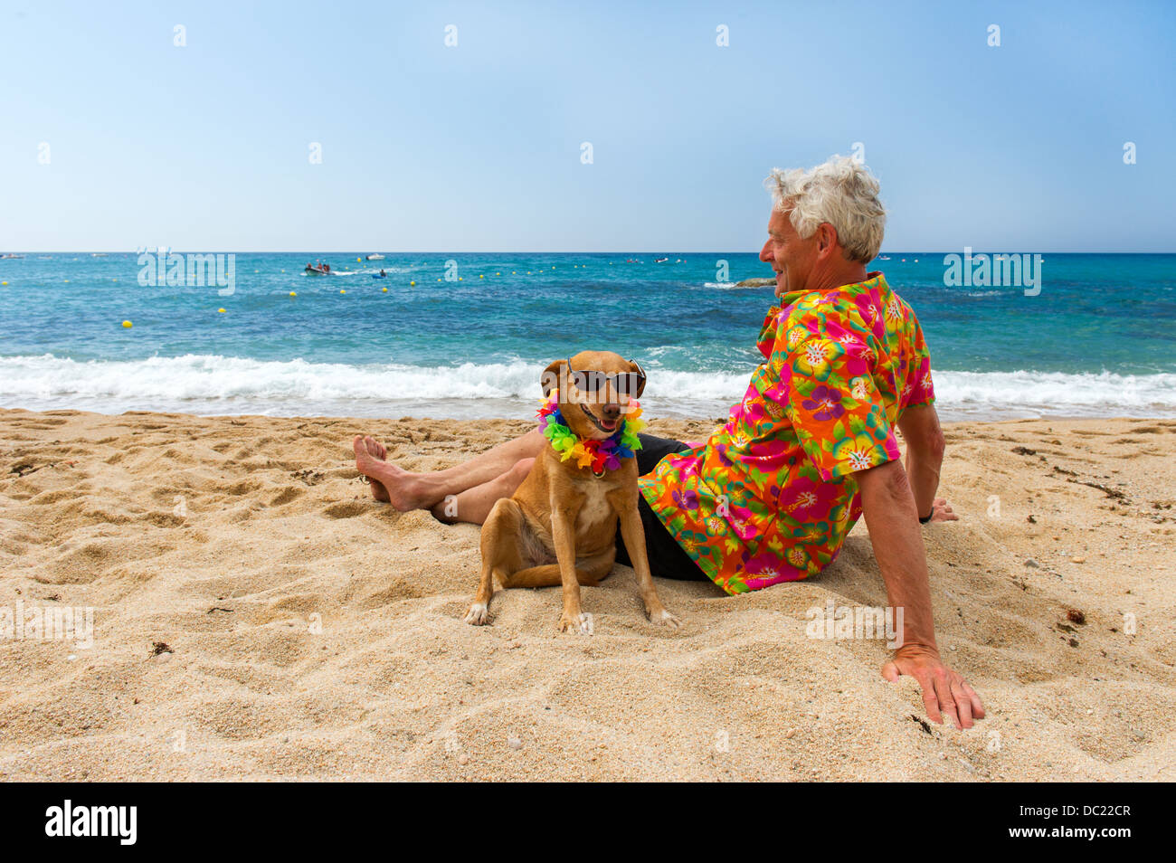 Rilassante uomo anziano con il cane la posa in spiaggia Foto Stock