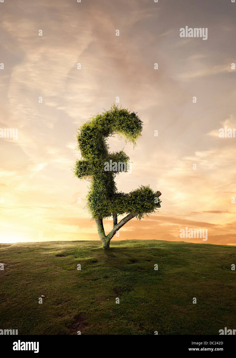 Topiaria da finanziaria ad albero simbolo cancelletto Foto Stock