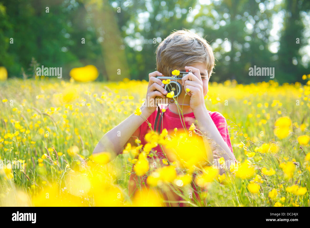 Ragazzo in piedi in erba lunga tenendo fotografia Foto Stock